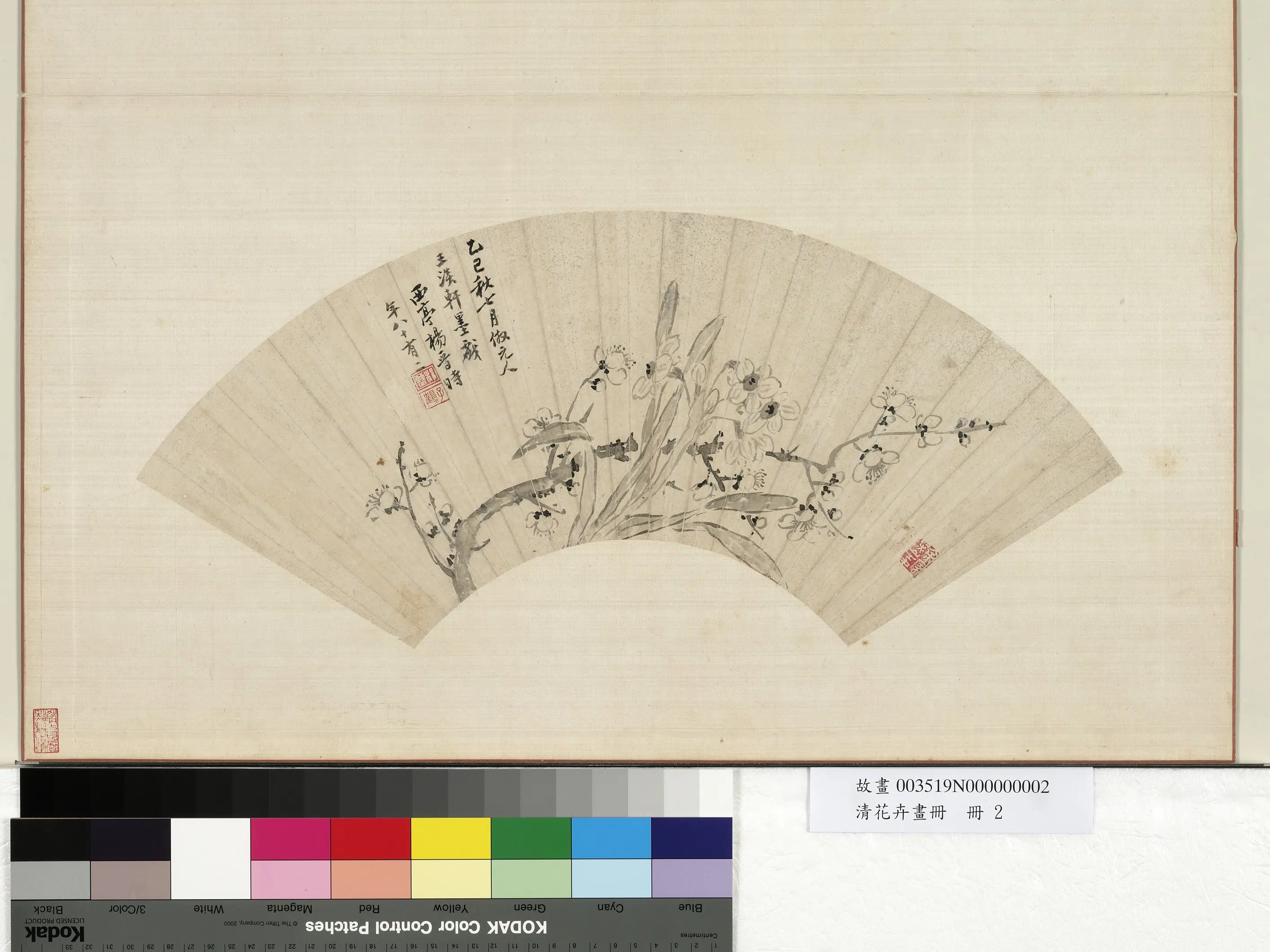 《花卉画册-5》 第5张