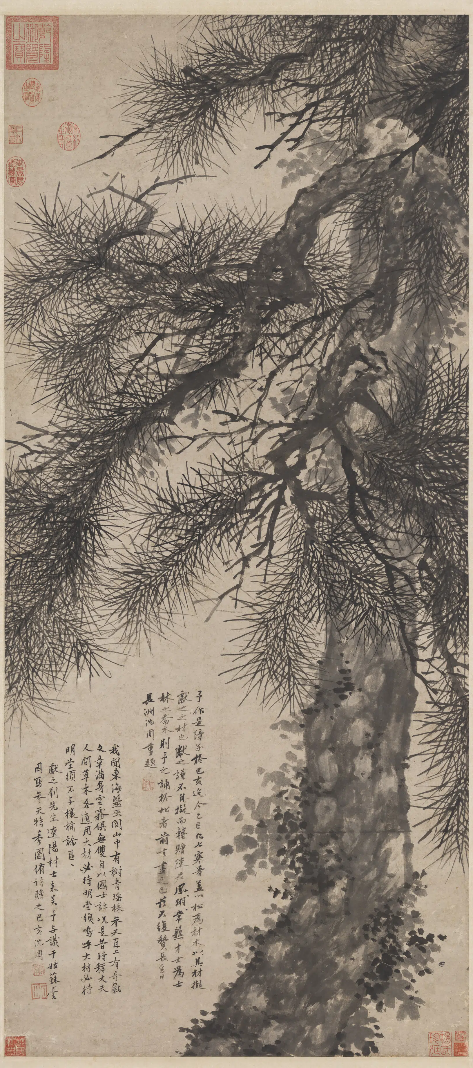 明朝【沈周】《参天特秀图轴》