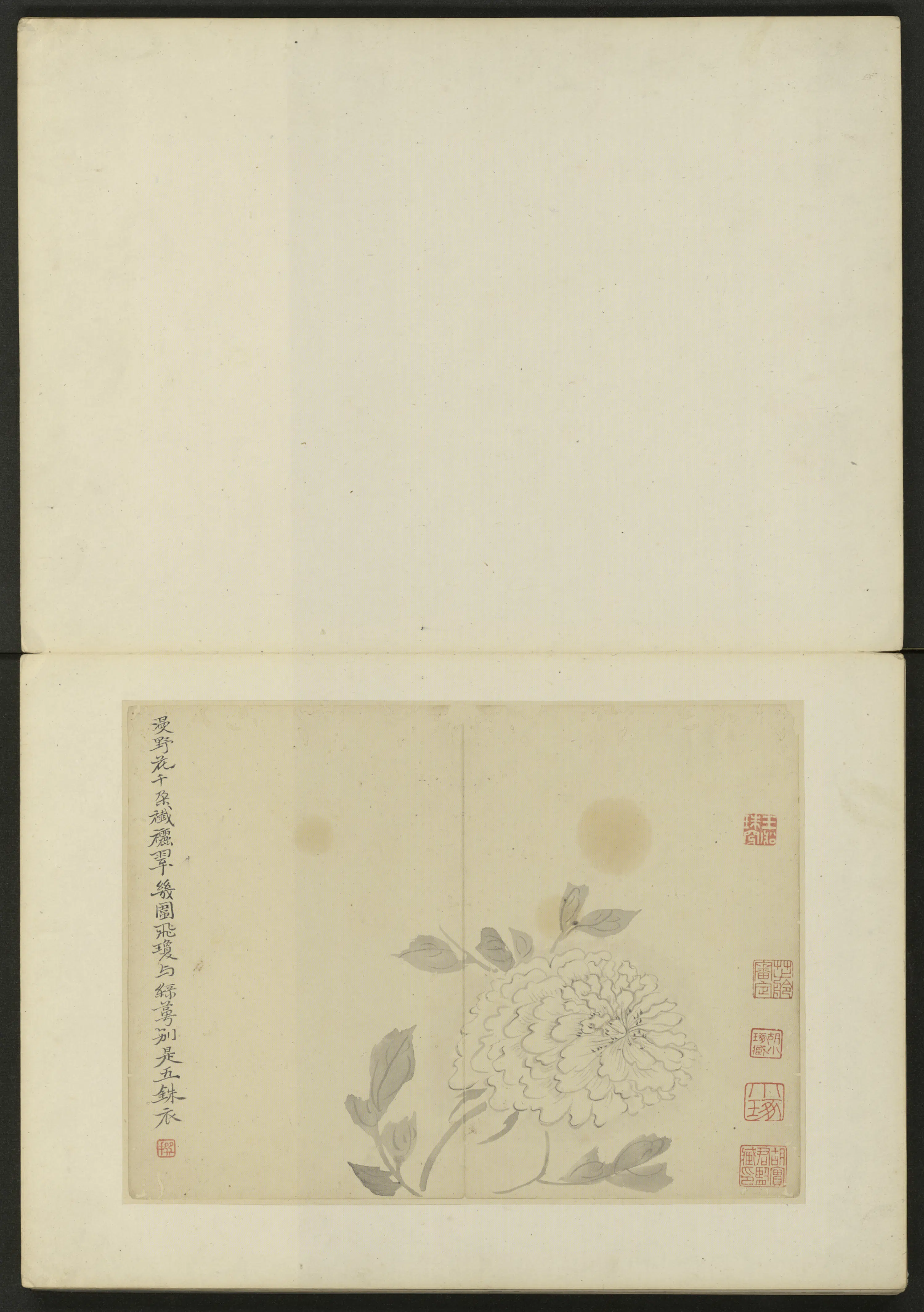 清代【陈撰】《花卉册（10开）》