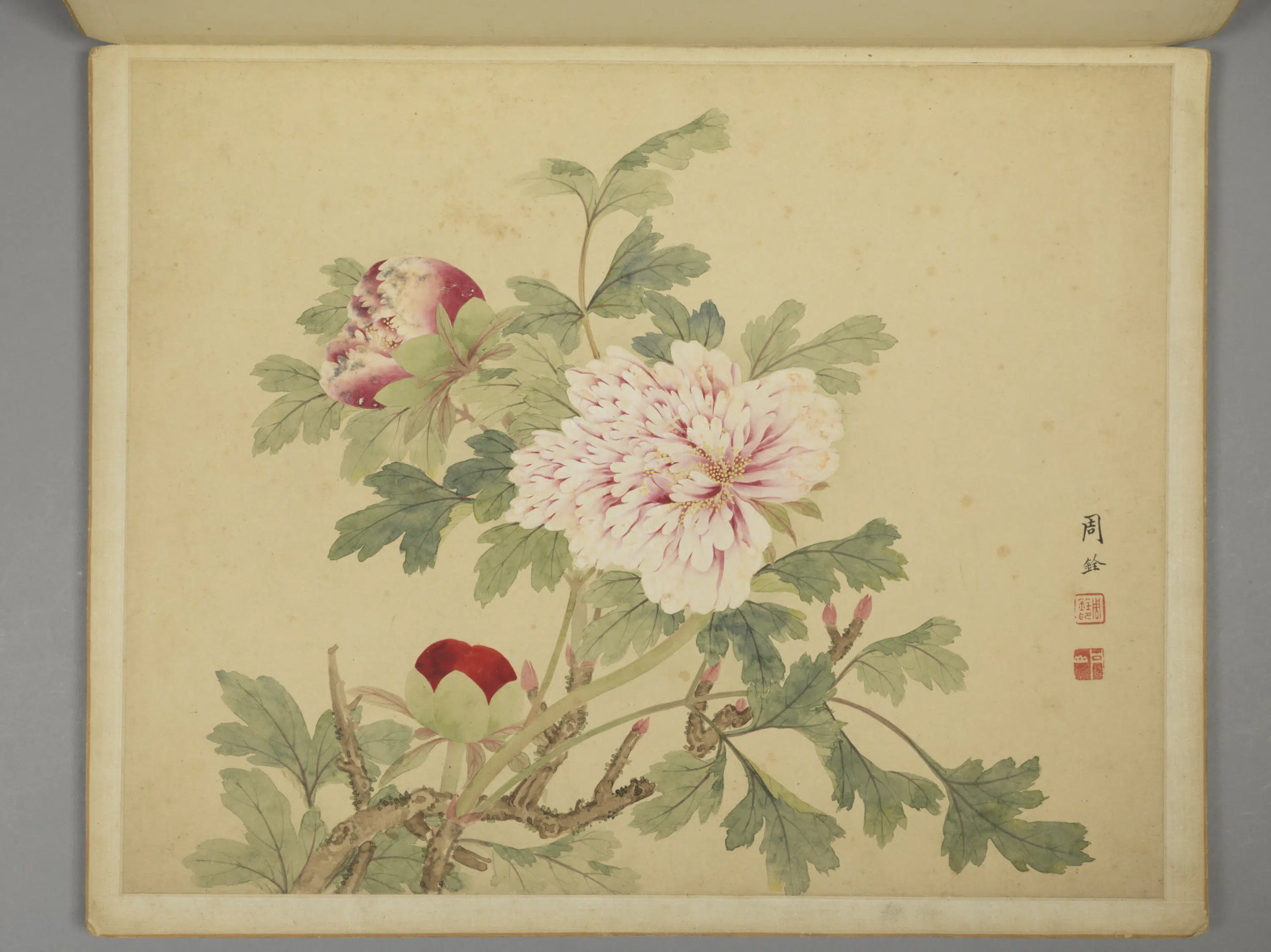 清代【周铨】《花鸟昆虫图册（12开）》 第6张
