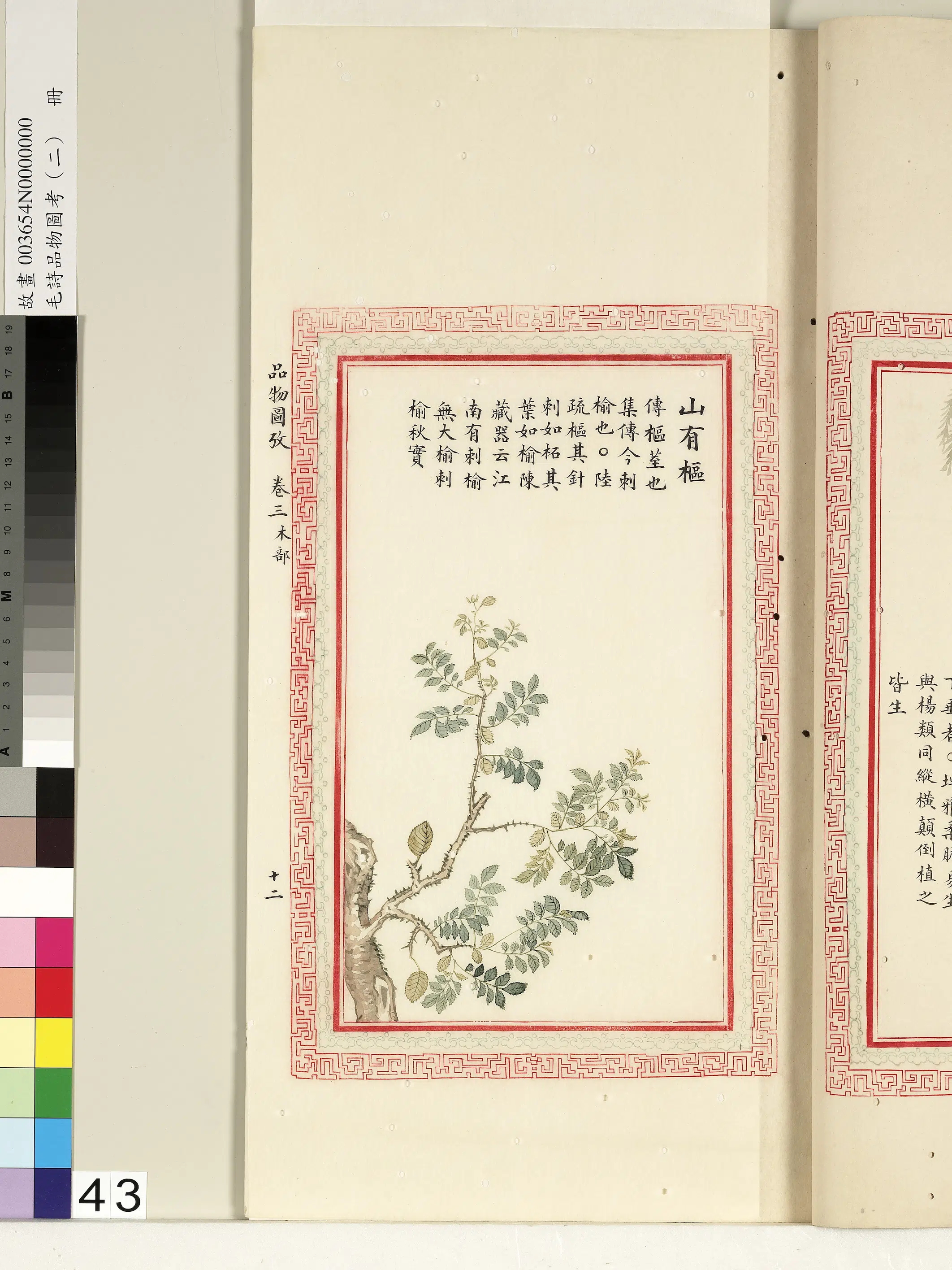 清朝【佚名】《毛诗品物图考（二）册-山有枢-1》