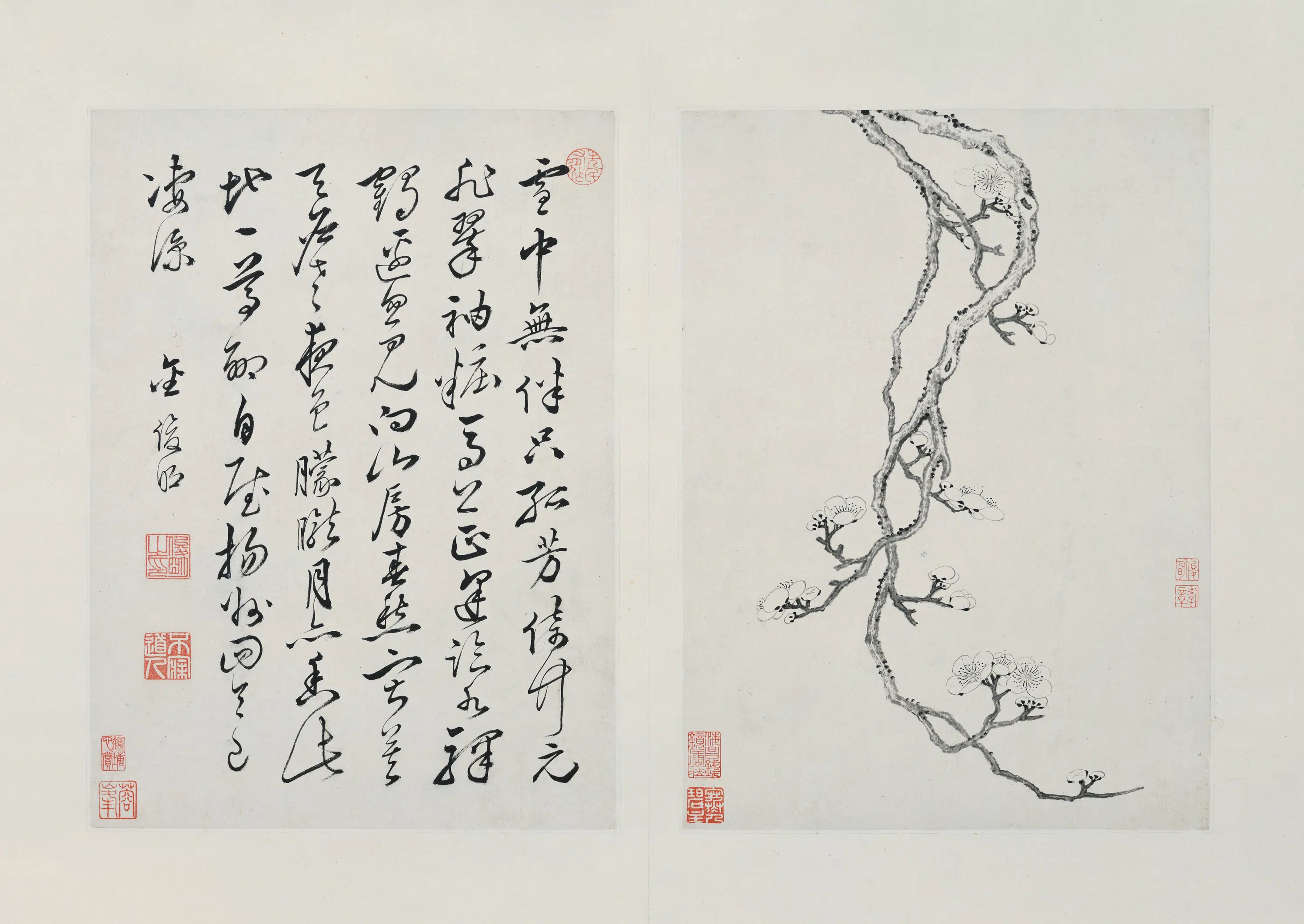 清代【金俊明】《梅花册》 第1张 清代【金俊明】《梅花册》 第1张