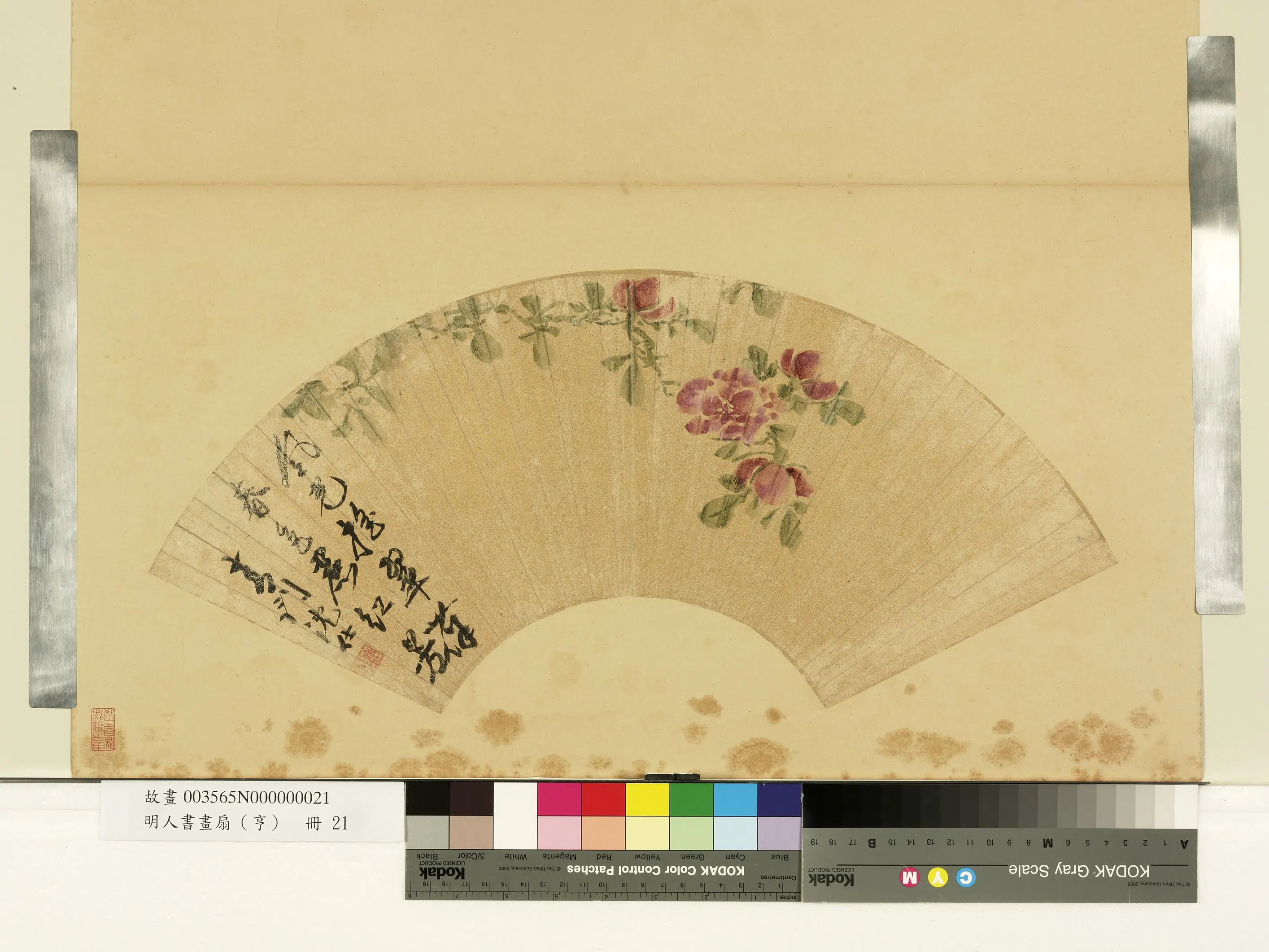 明朝【沈仕】《明人画扇（亨）册-春色红芳》