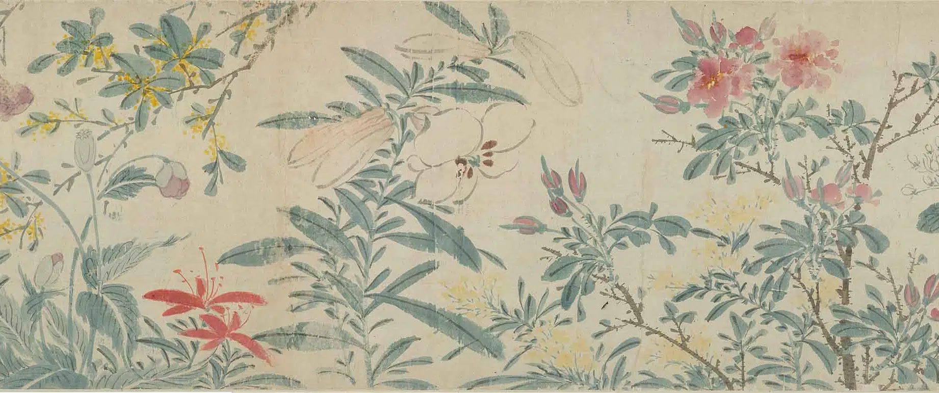 明朝【陈淳（道复）】《四季花卉卷》 第2张
