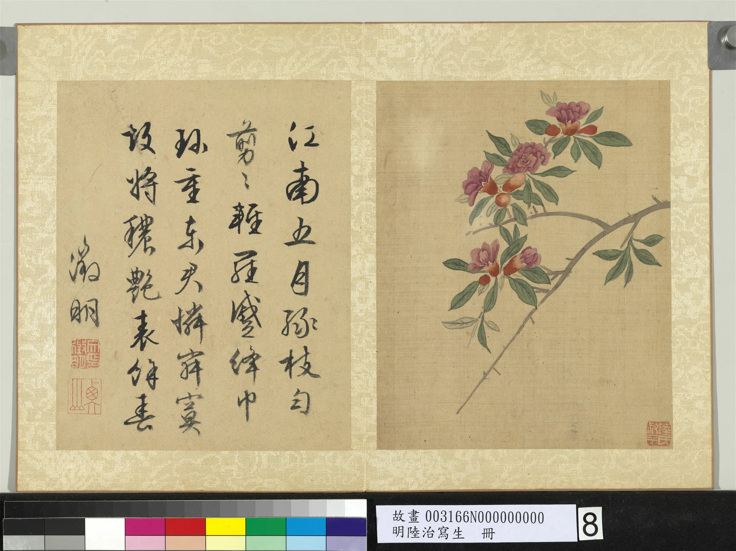 明代【陆治】《石榴花开图_写生册》