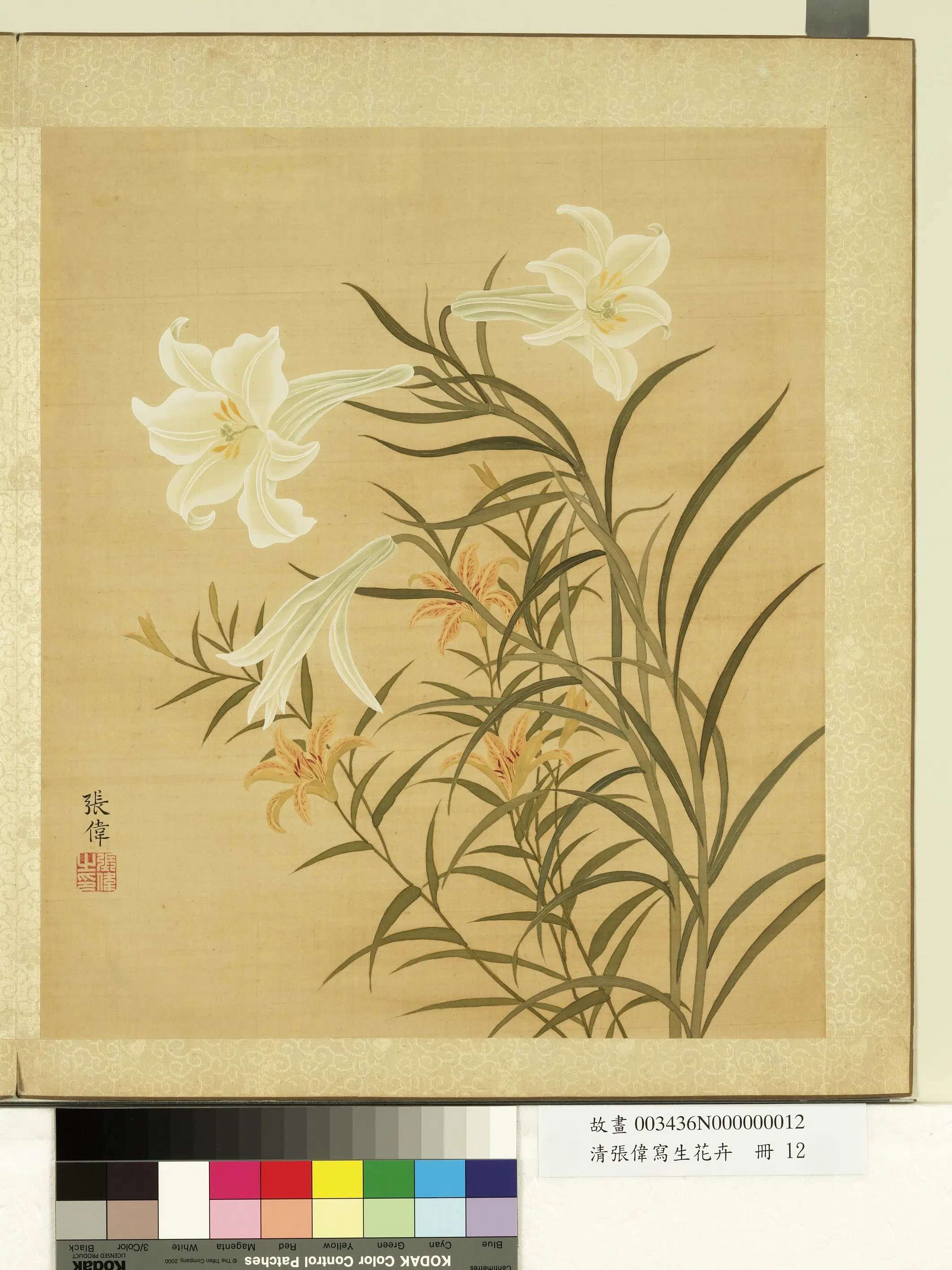 清代【张伟】《写生花卉册》 第18张