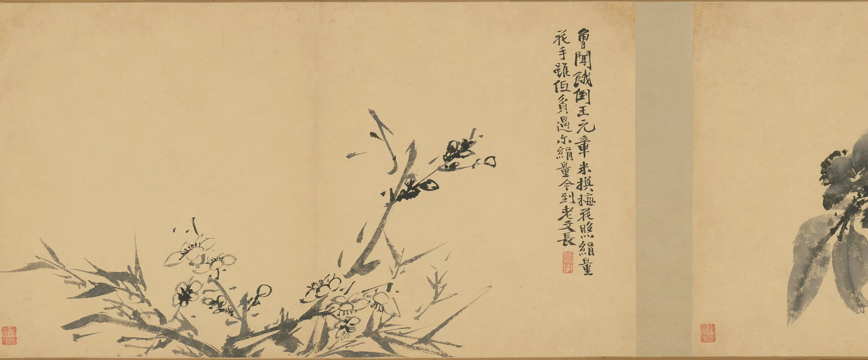 明朝【徐渭】《墨花卷》 第14张