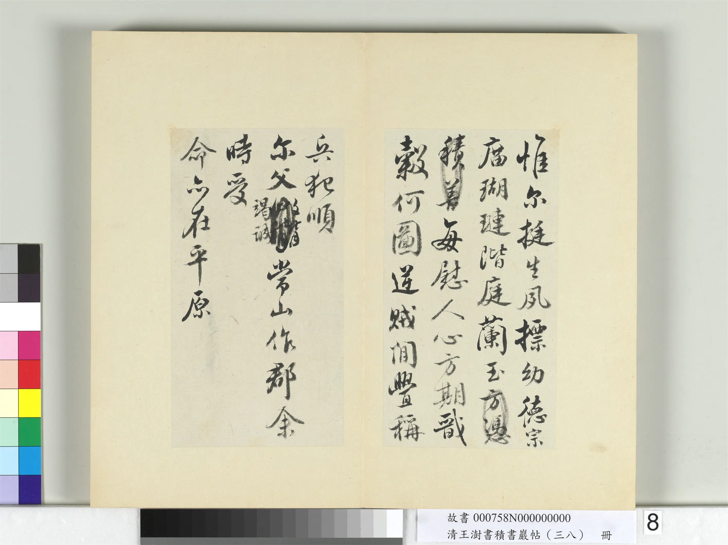 清代【王澍】《书积书岩帖（三十八）册-临宋搨颜真卿祭侄文》 第2张