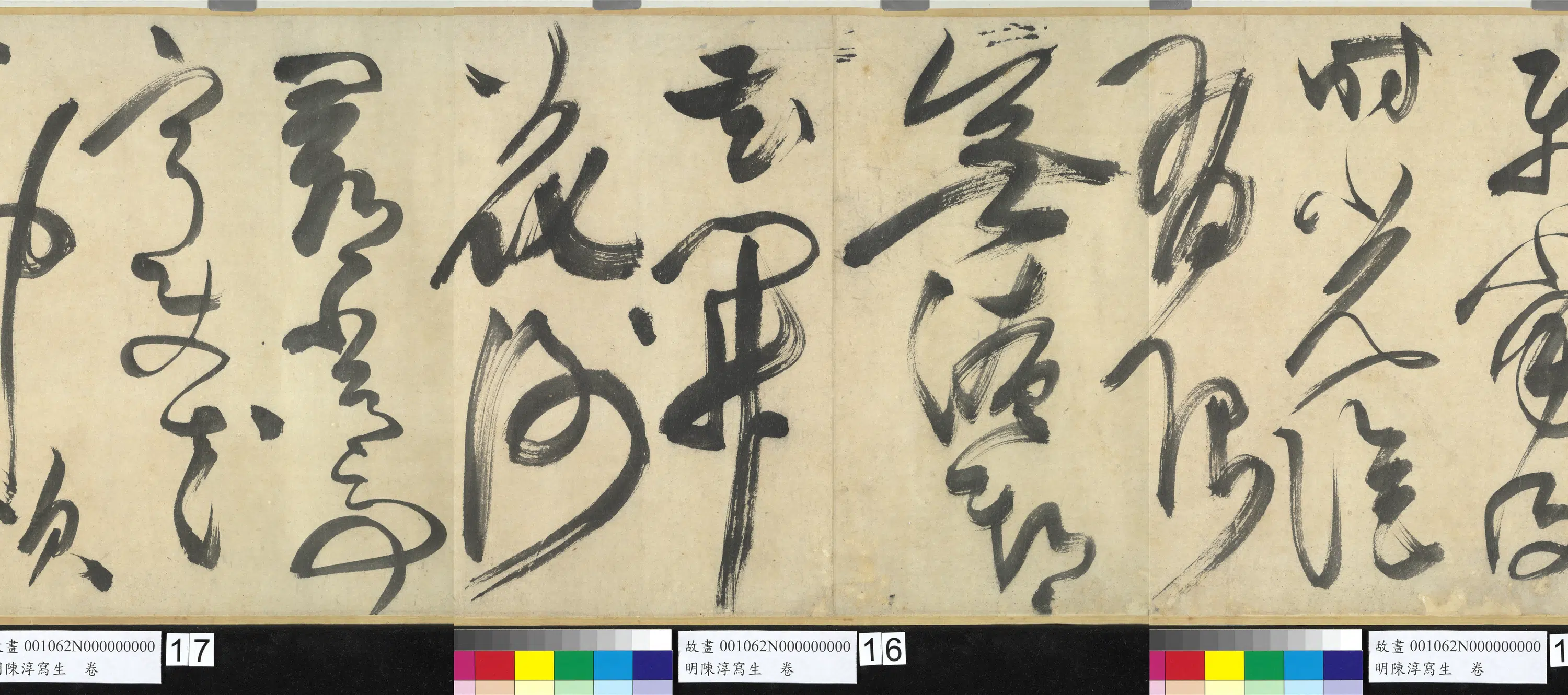 明朝【陈淳（道复）】《写生图卷》 第2张