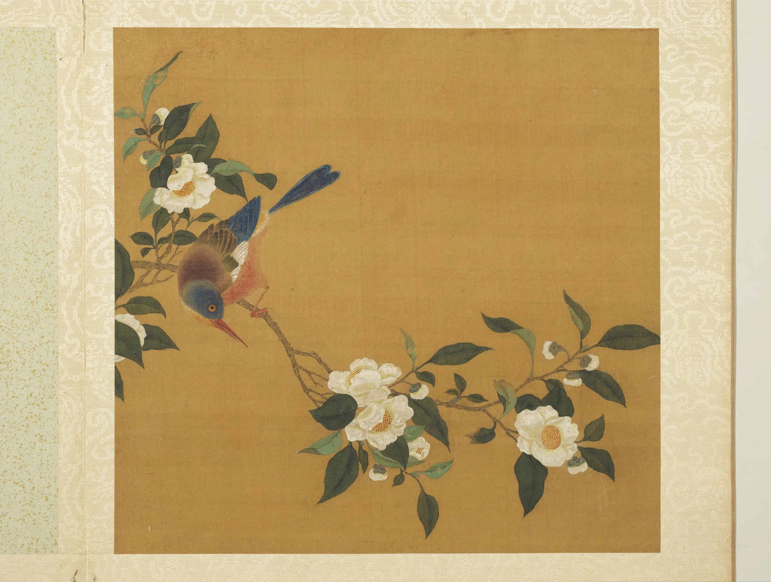 五代十国前后蜀【黄筌（荃）】《长春花鸟册-茶花翎毛》