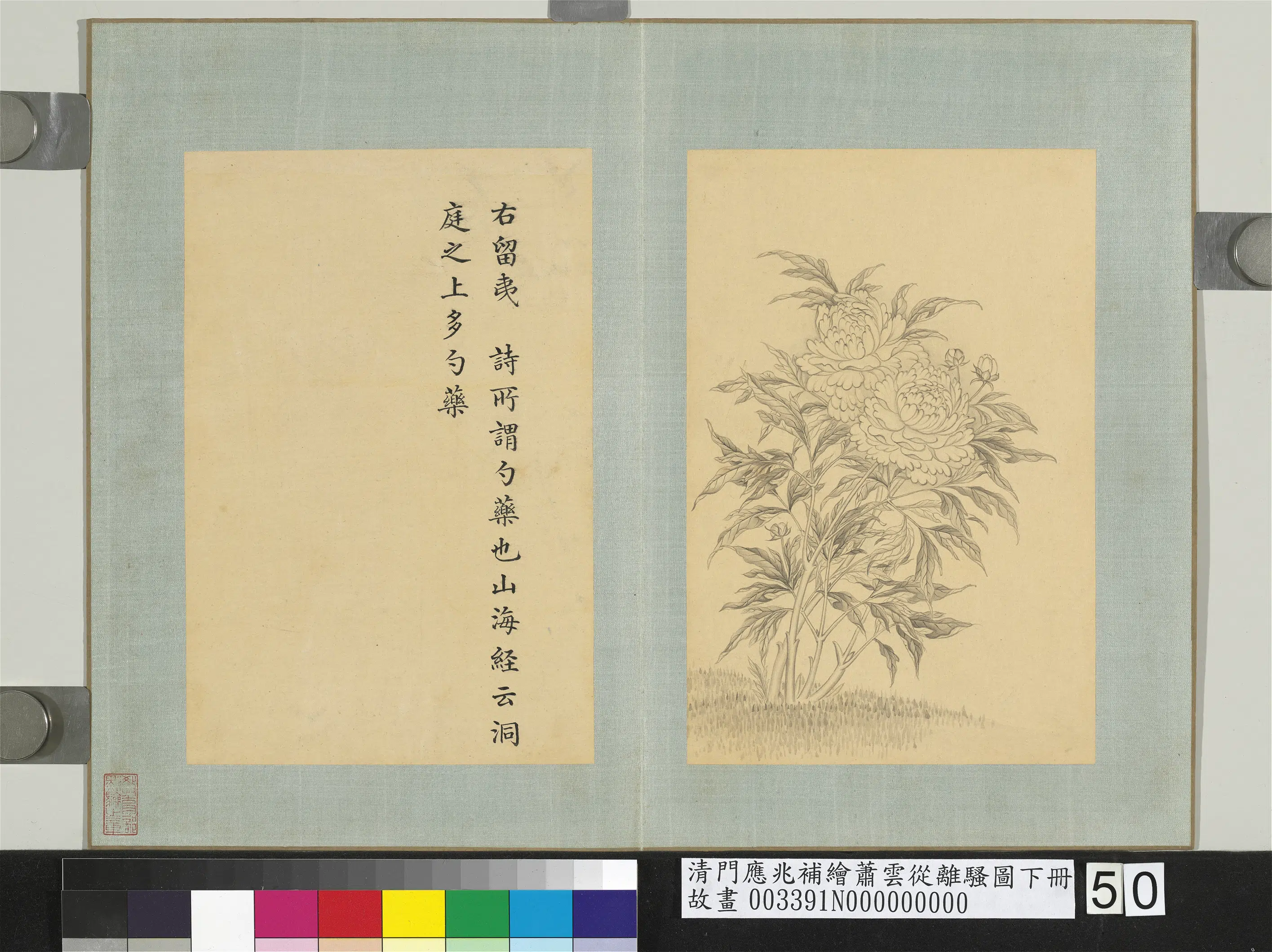 清代【门应兆】《补绘萧云从离骚图下册-勺药》