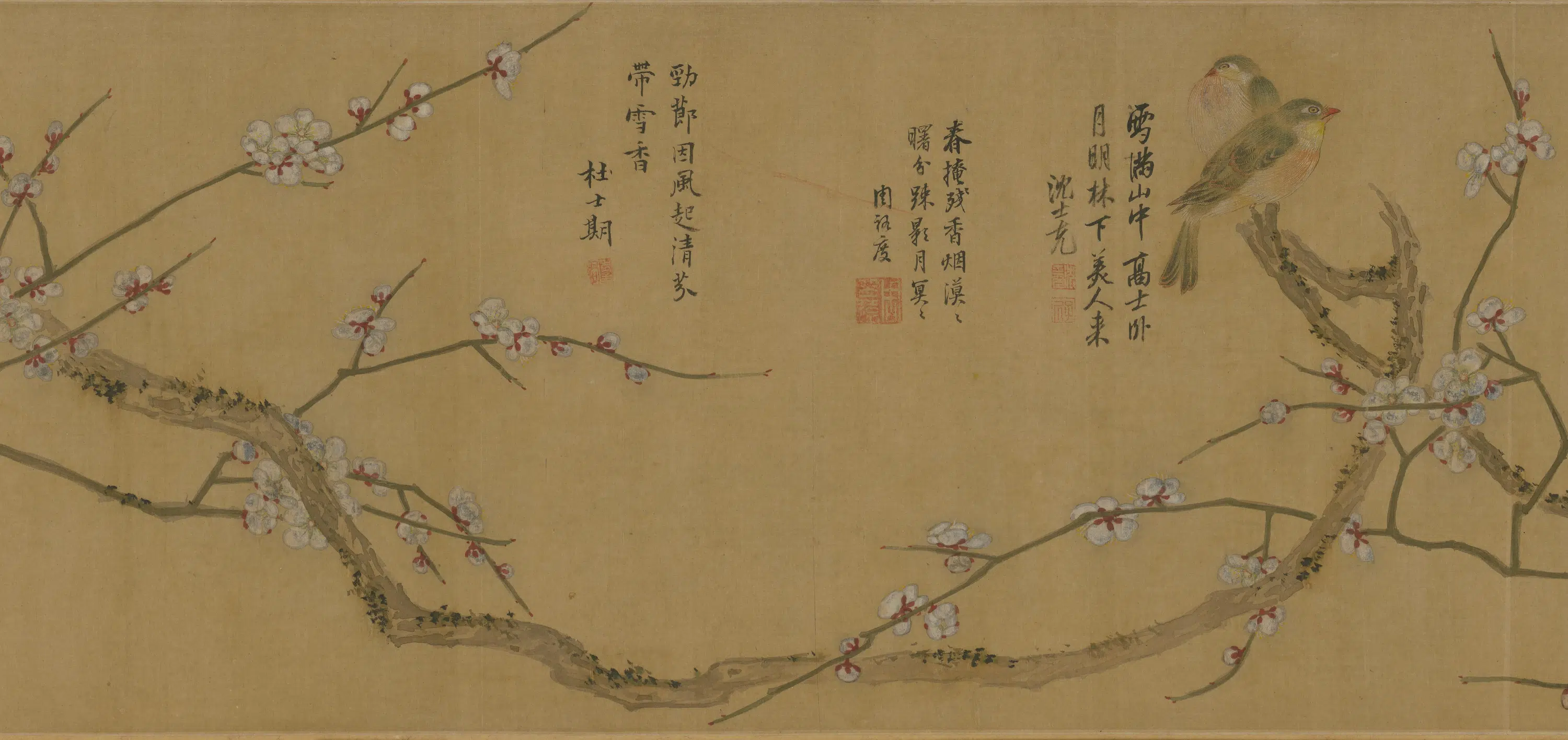 明朝【陈继儒】《梅花双禽卷》 第2张