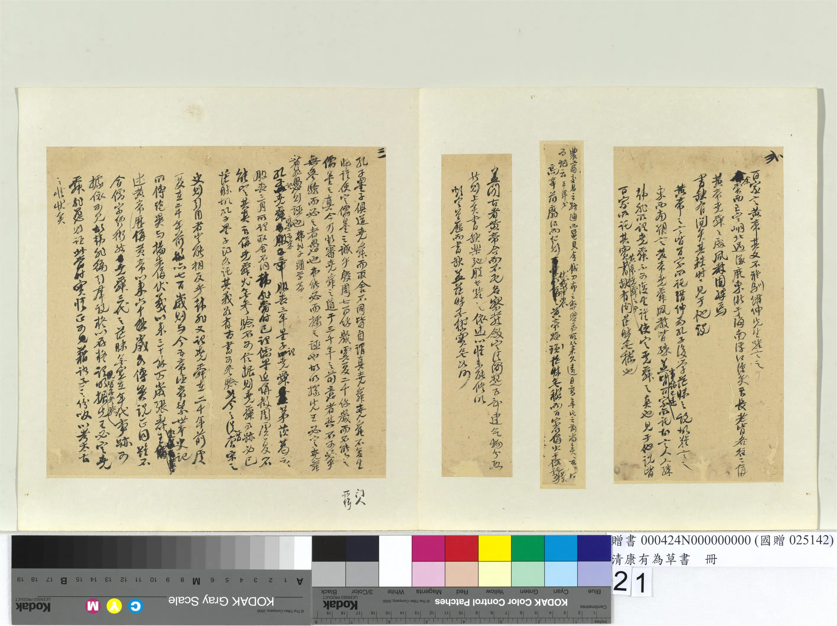 清代【康有为】《草书册》 第14张