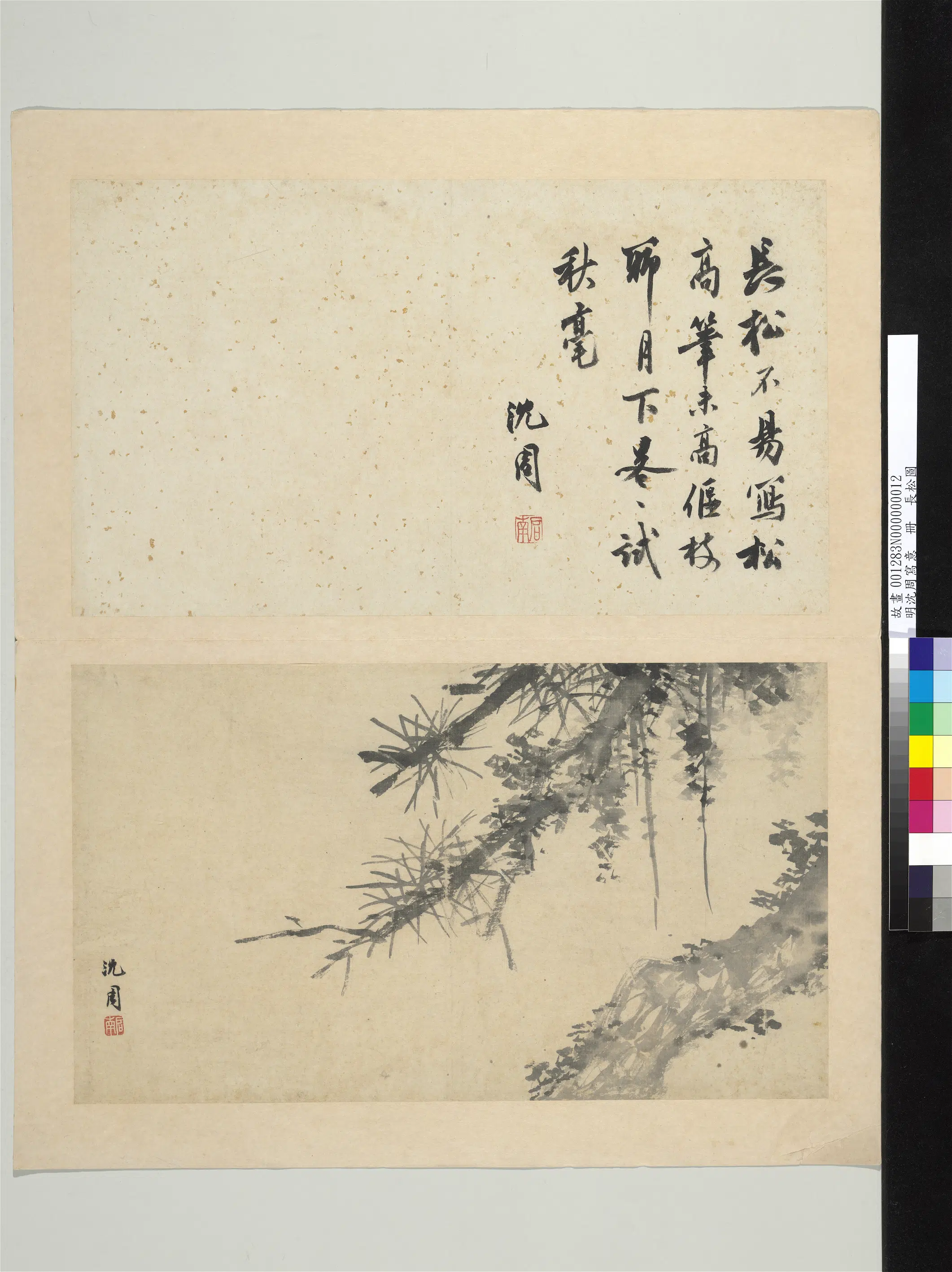 明朝【沈周】《写意册-长松图》