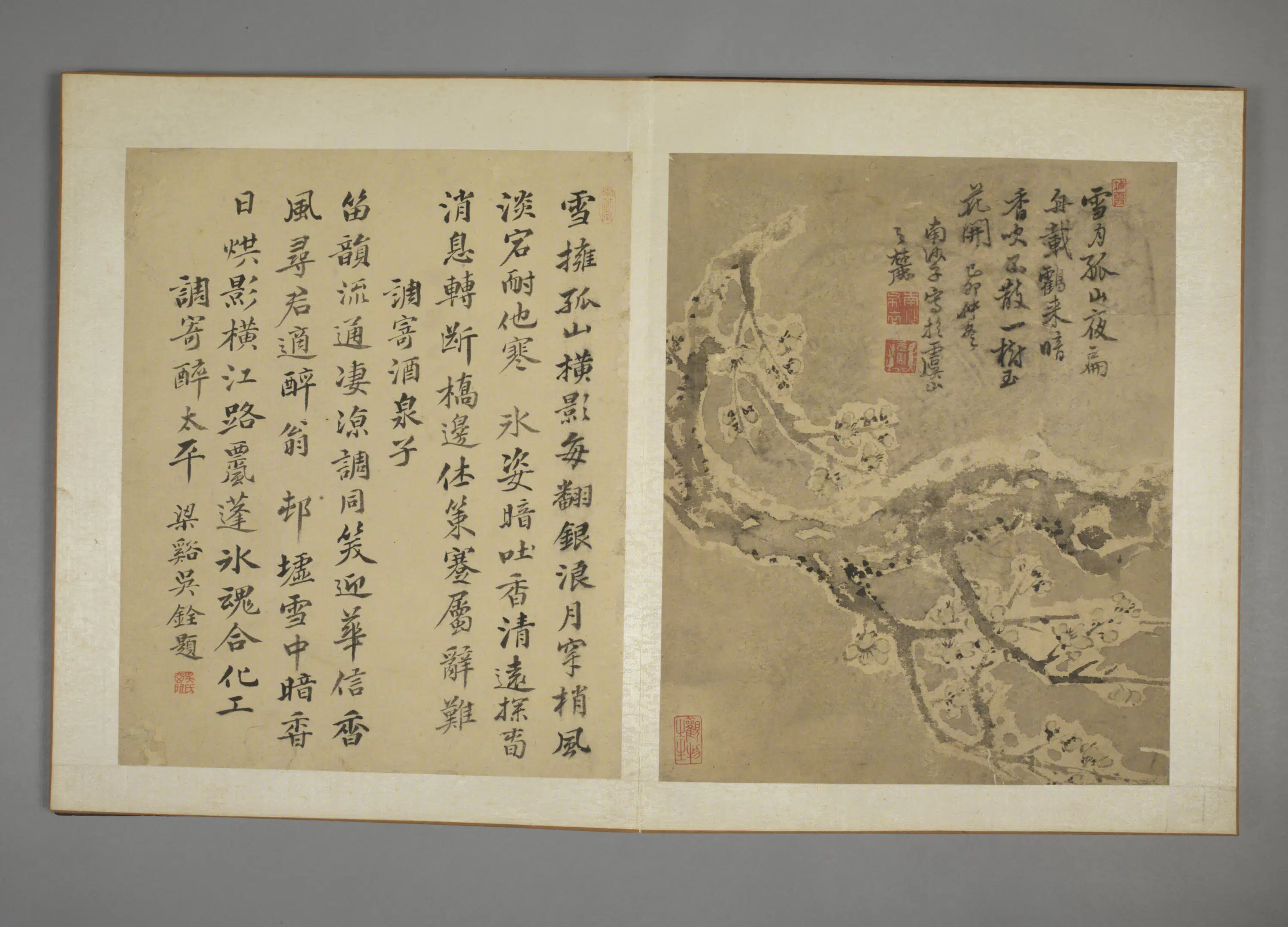 清代【马元驭】《花鸟图册》 第7张
