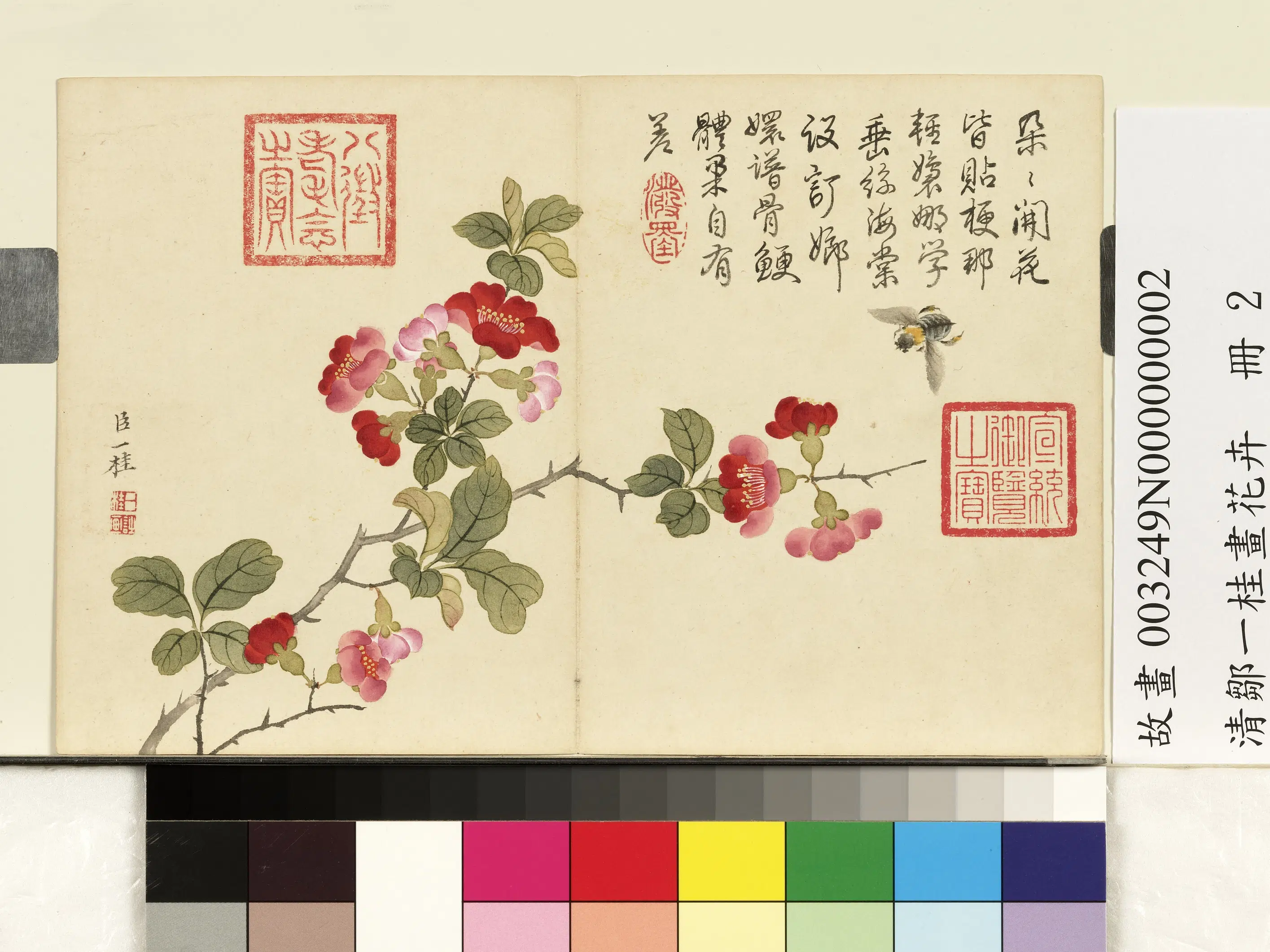 清代【邹一桂】《画花卉册》 第6张 清代【邹一桂】《画花卉册》 第6张