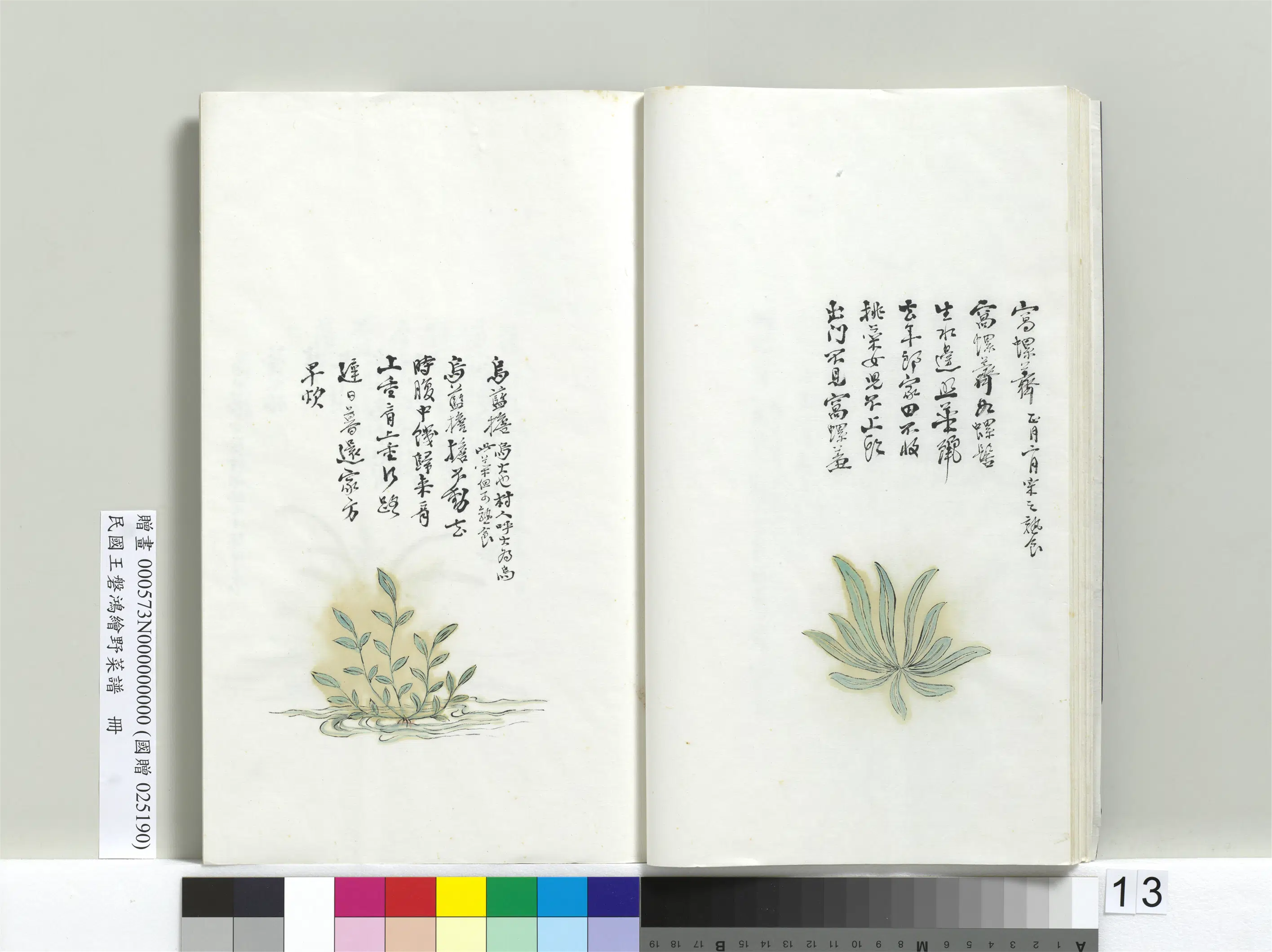 《绘王盘野菜谱册-乌蓝担》