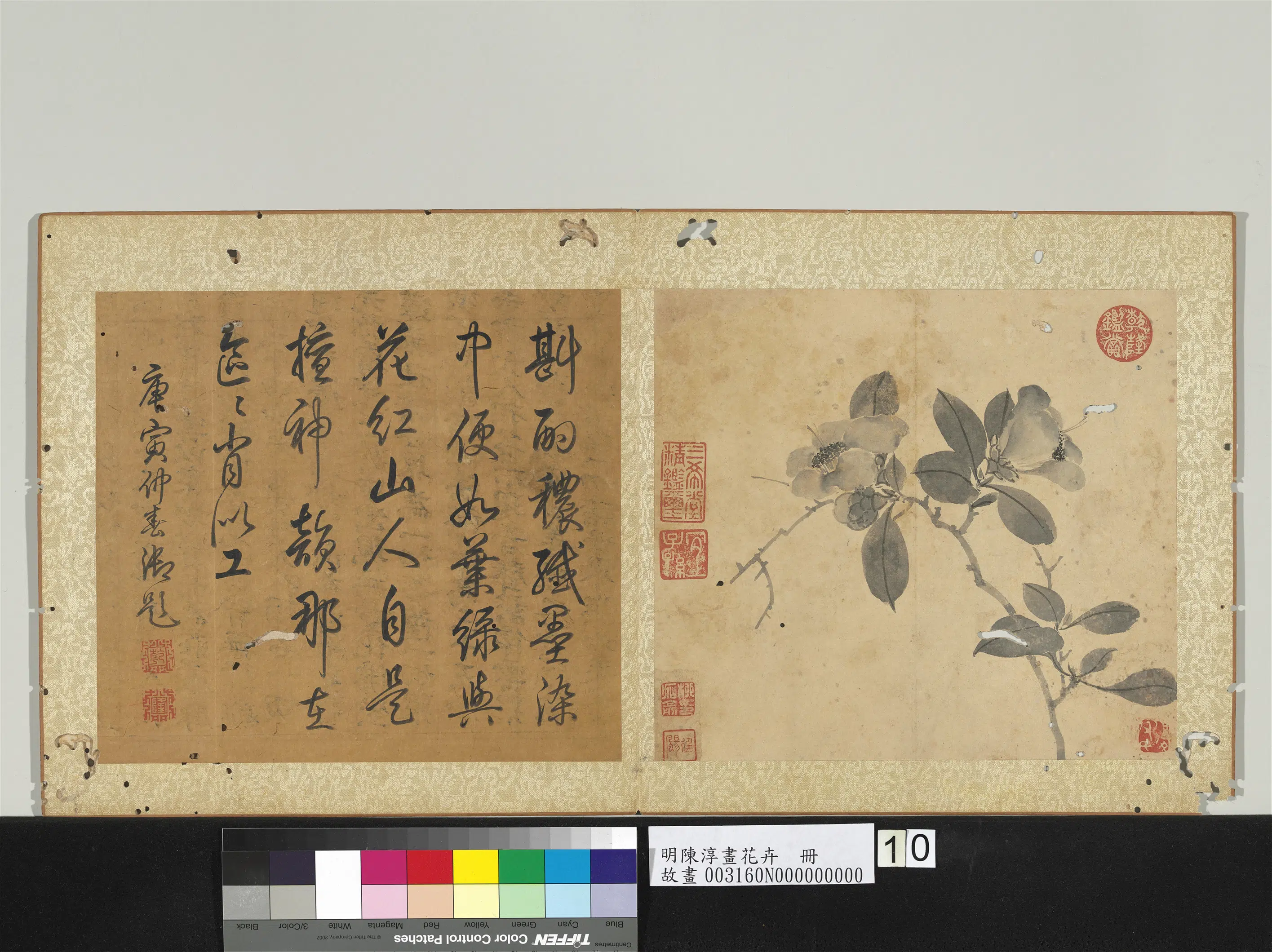 明朝【陈淳（道复）】《画花卉册》 第10张