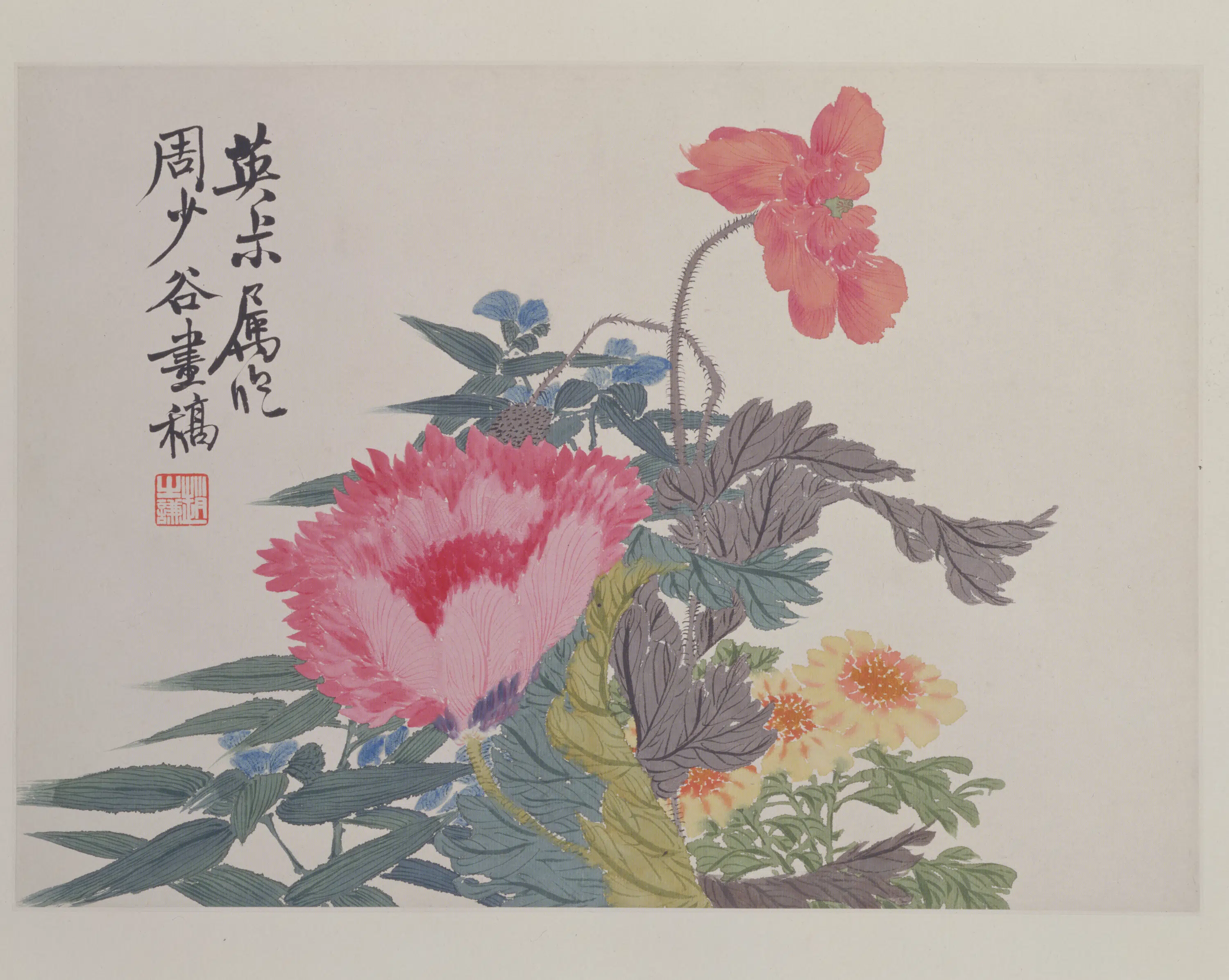 清代【赵之谦】《花卉册-罂粟花页》