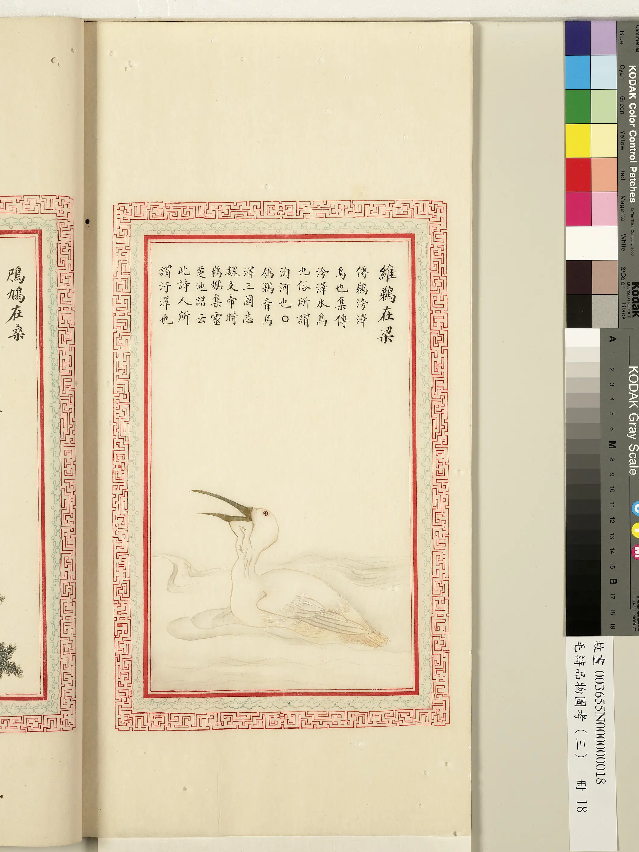 清代《毛诗品物图考(三)册-1》 第34张 清代《毛诗品物图考(三)册-1》 第34张