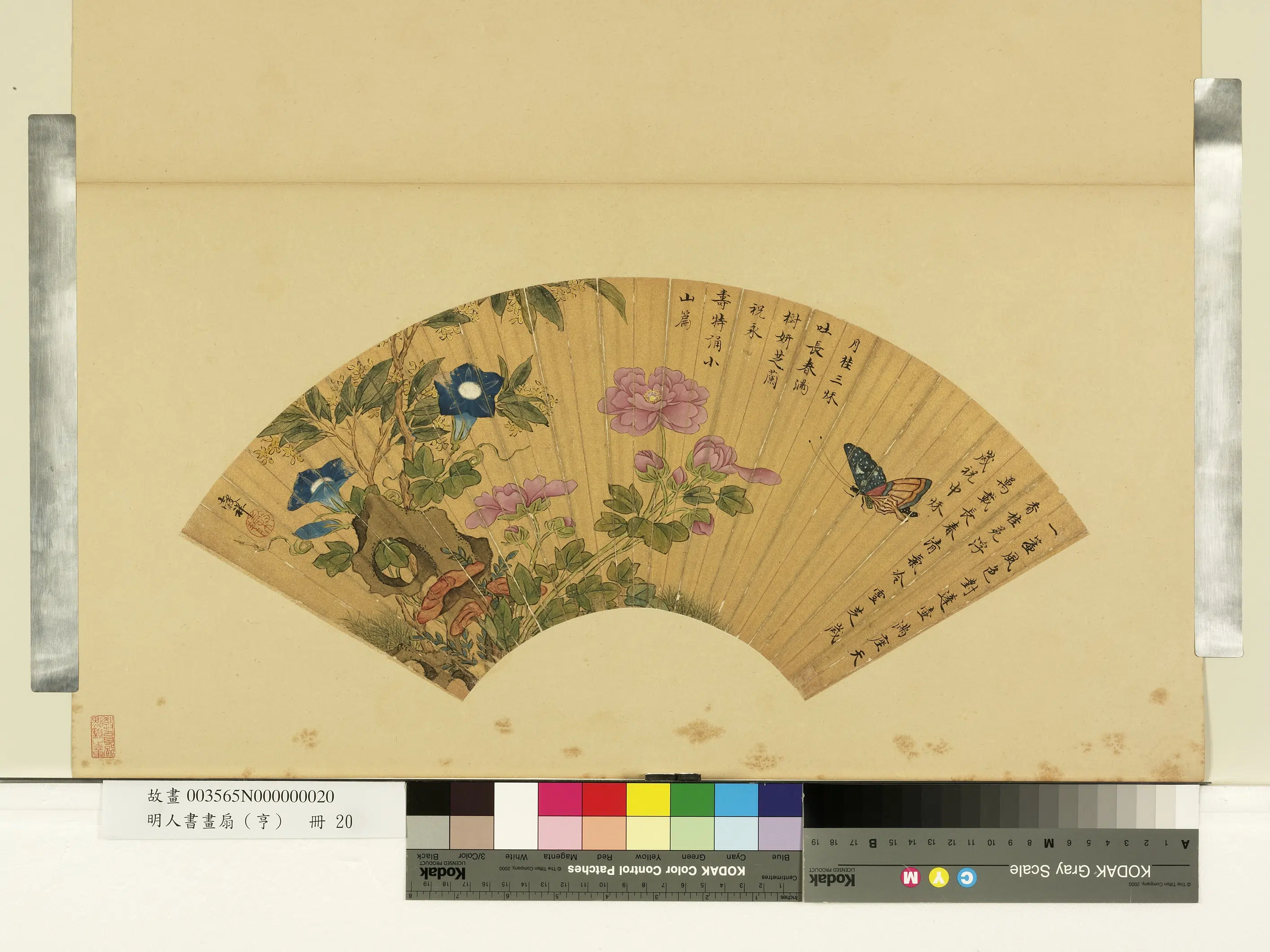 明朝【王谷祥（王穀祥）】《明人画扇（亨）册-月桂芝兰》