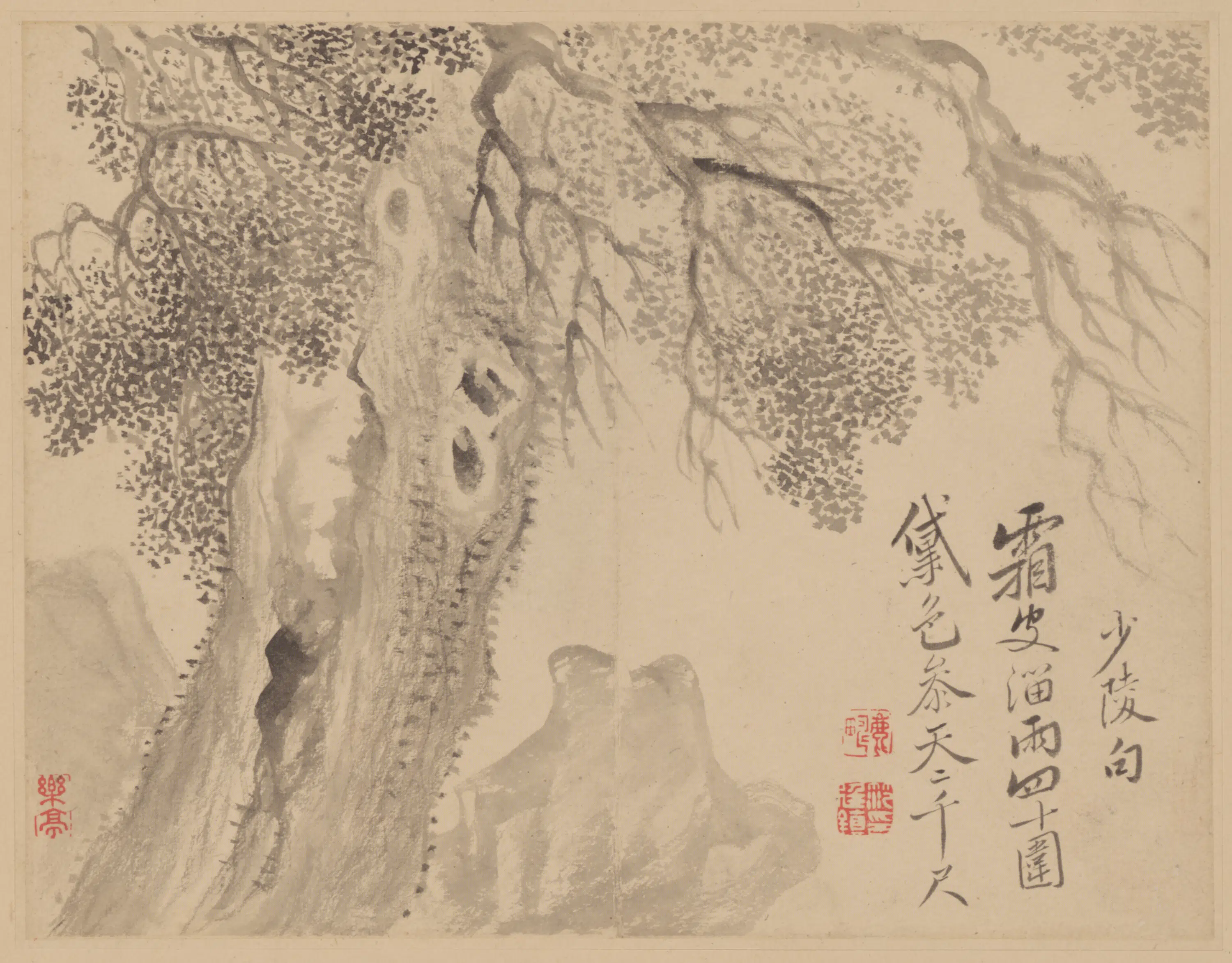 清代【范廷镇】《花卉册》 第4张 清代【范廷镇】《花卉册》 第4张