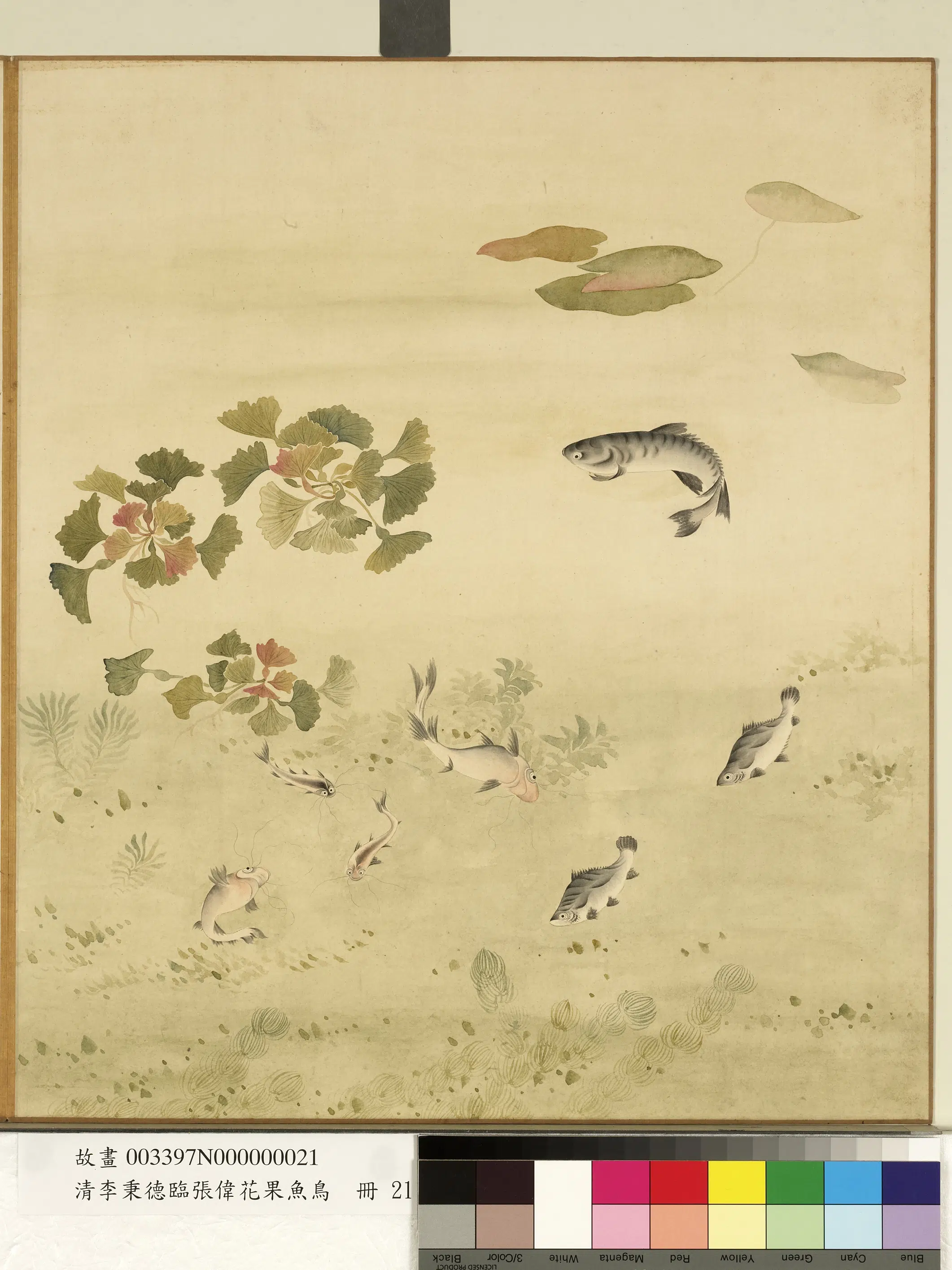 清代【李秉德】《临张伟花果鱼鸟册-菱鱼》