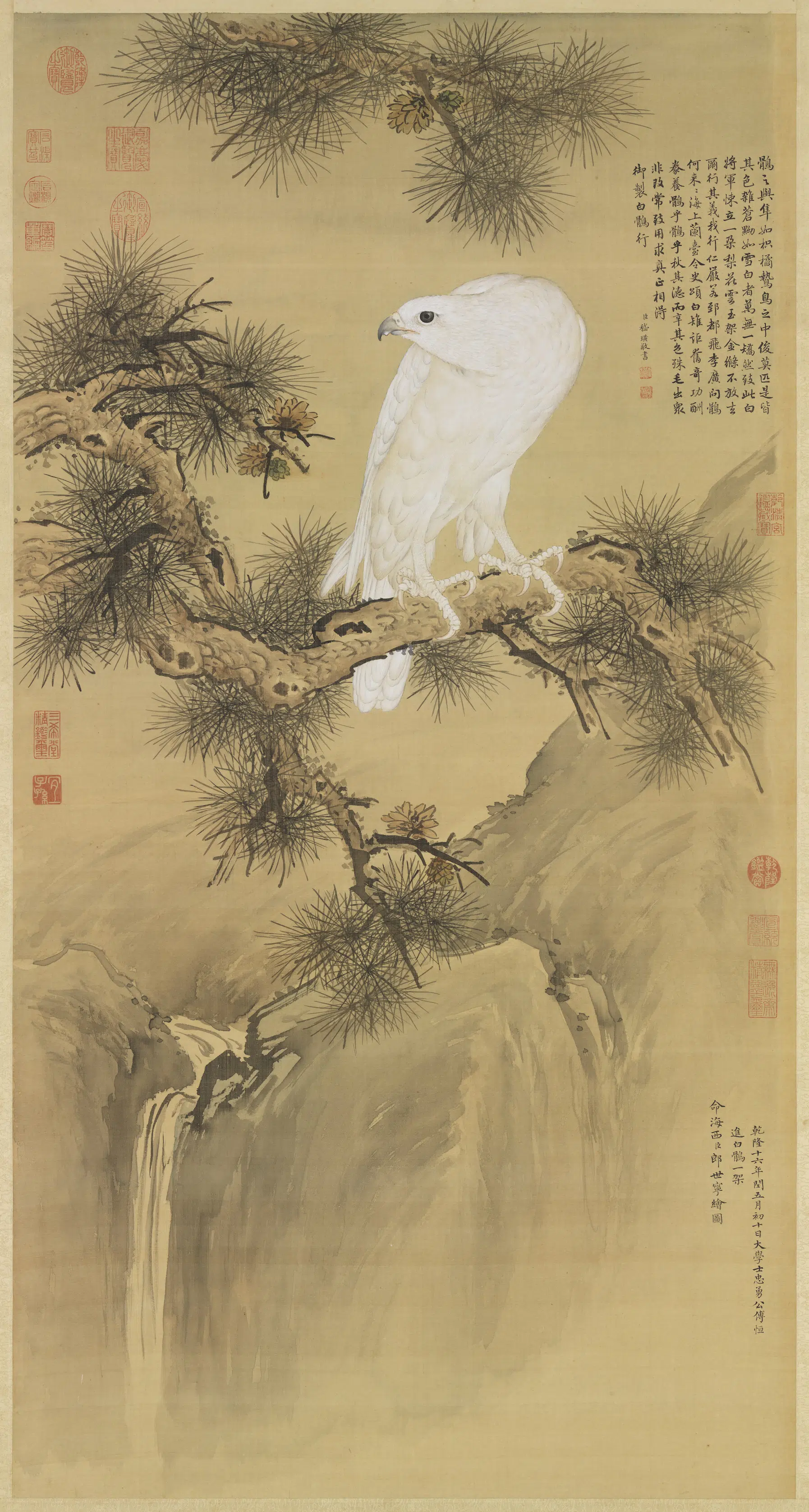 清代【郎世宁】《白鹘图轴》 第1张