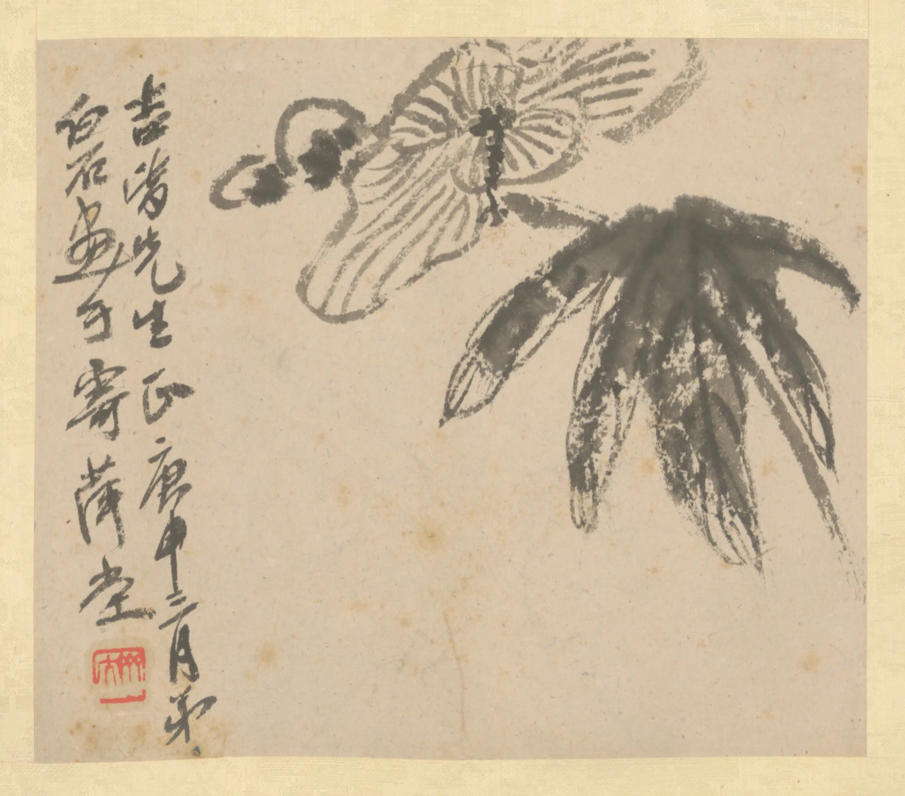 近现代【齐白石】《花卉册》 第5张 近现代【齐白石】《花卉册》 第5张