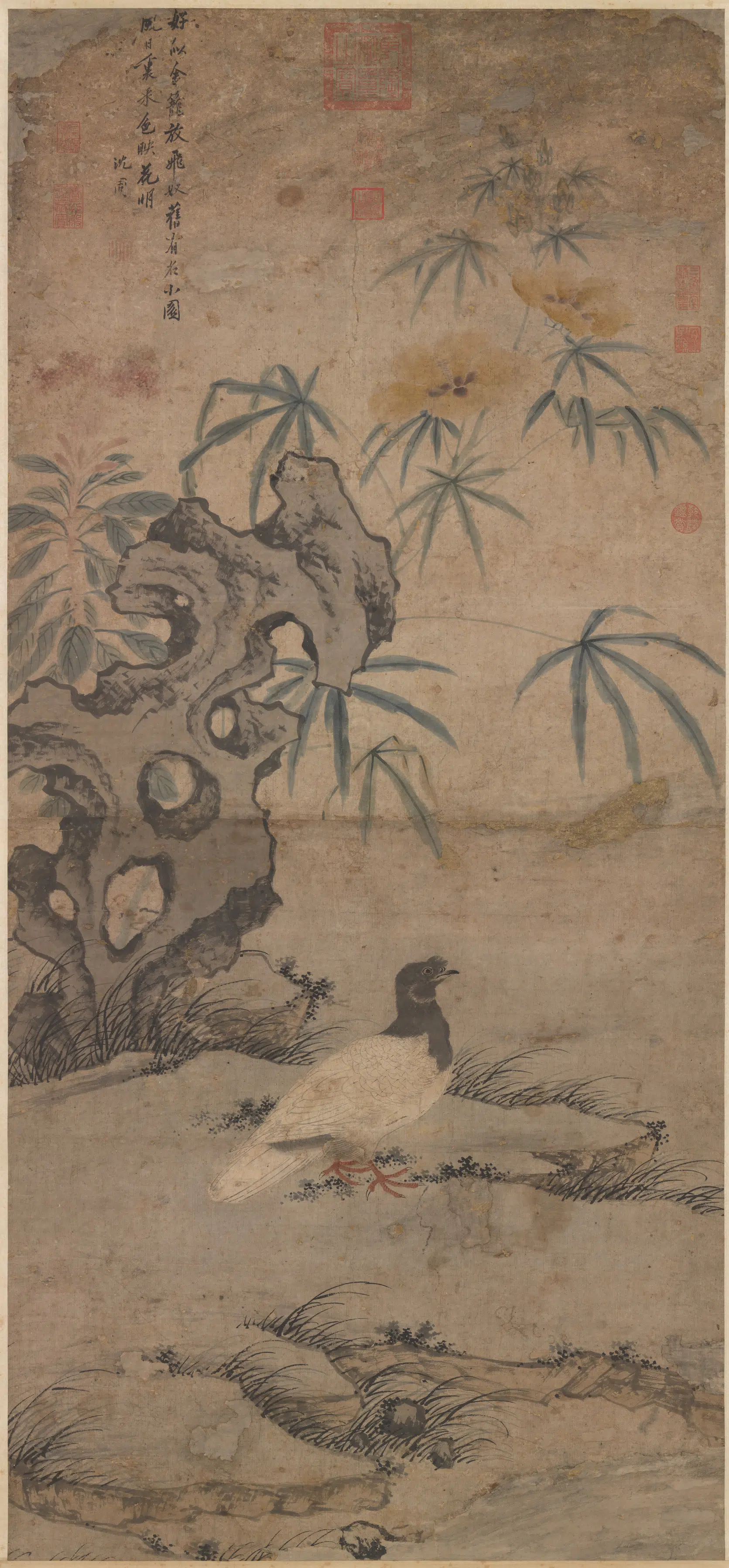 明朝【沈周】《放鸽图轴》