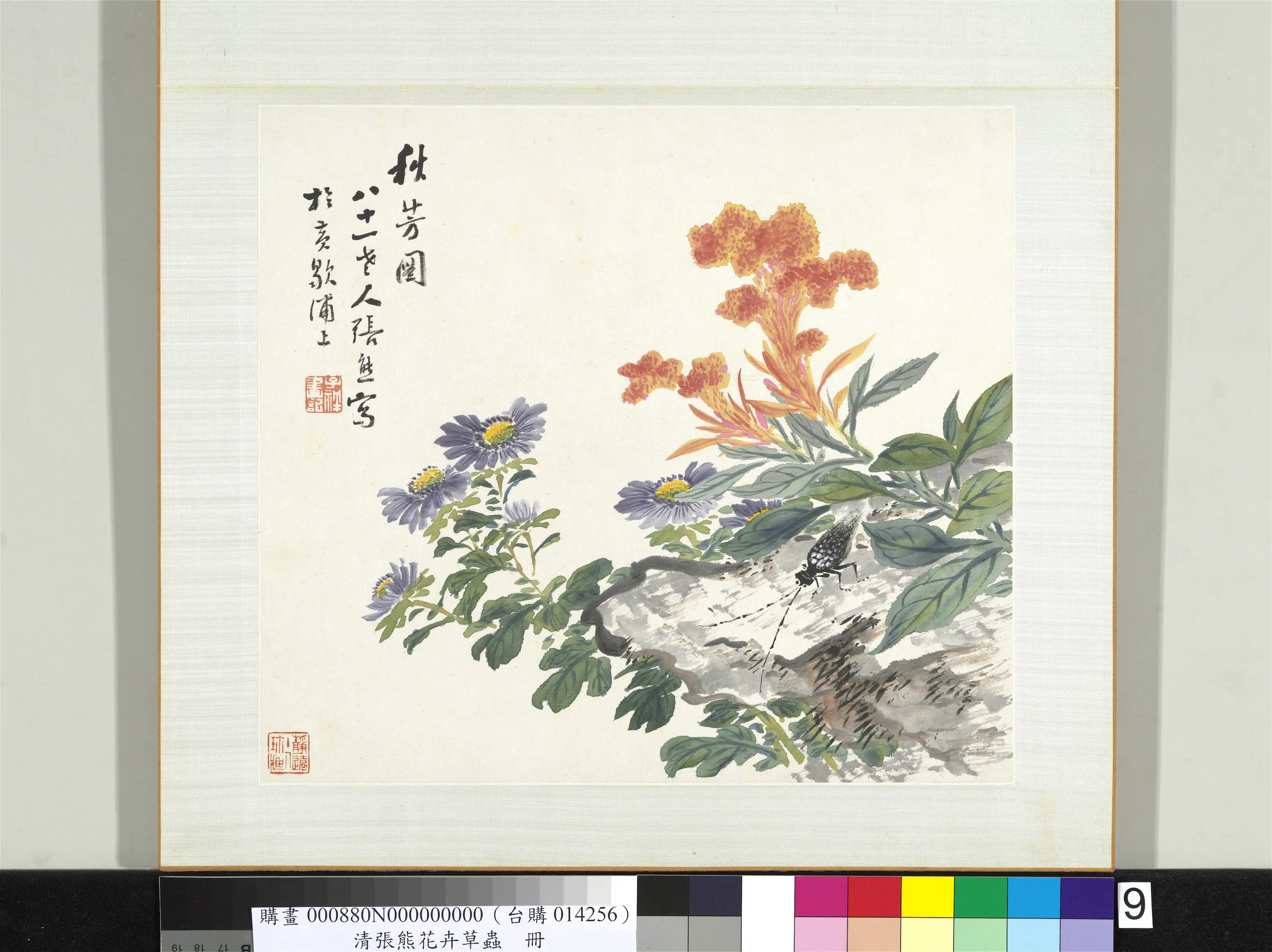 清代【张熊】《花卉草虫册-（九）》