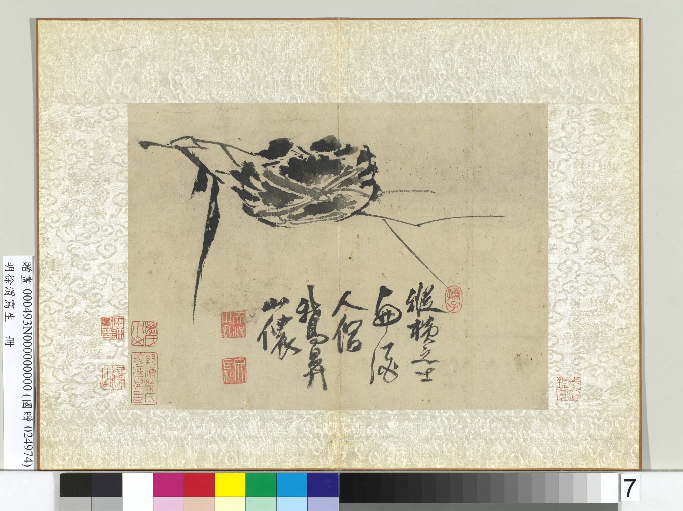明朝【徐渭】《写生册-水墨画芦蟹》 第1张 明朝【徐渭】《写生册-水墨画芦蟹》 第1张