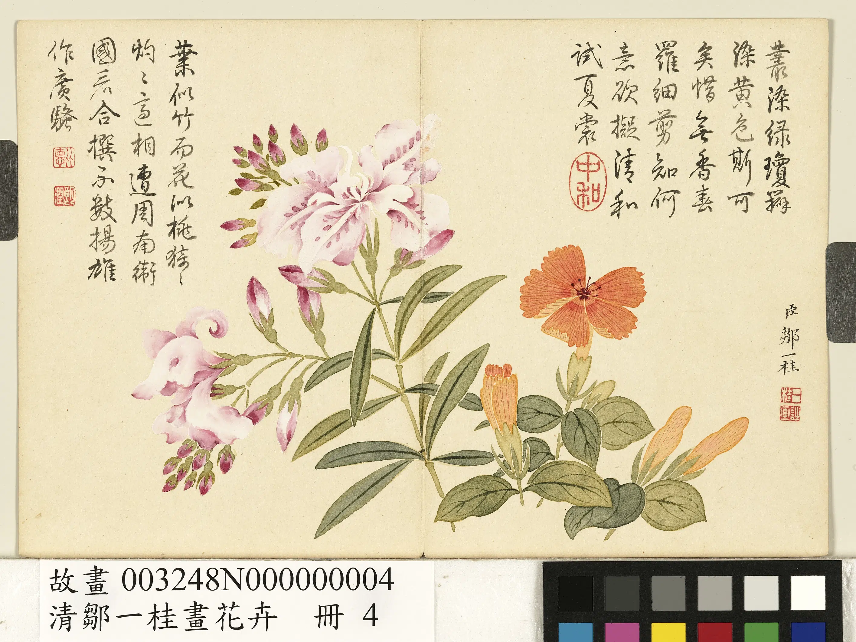 清代【邹一桂】《画花卉册》 第4张 清代【邹一桂】《画花卉册》 第4张