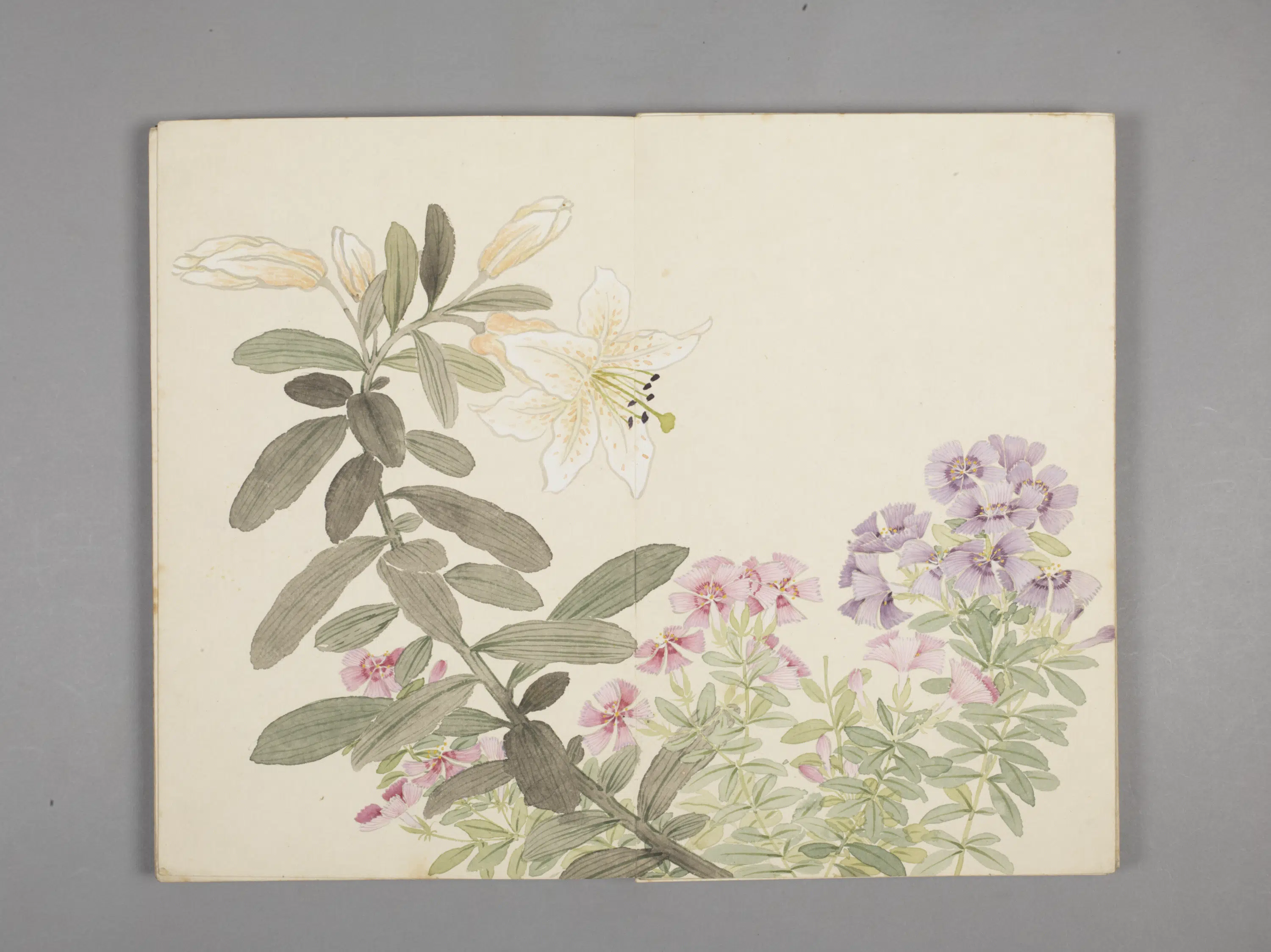 清代【董诰】《绚锦胪芳图册(10开)》 第8张 清代【董诰】《绚锦胪芳图册(10开)》 第8张