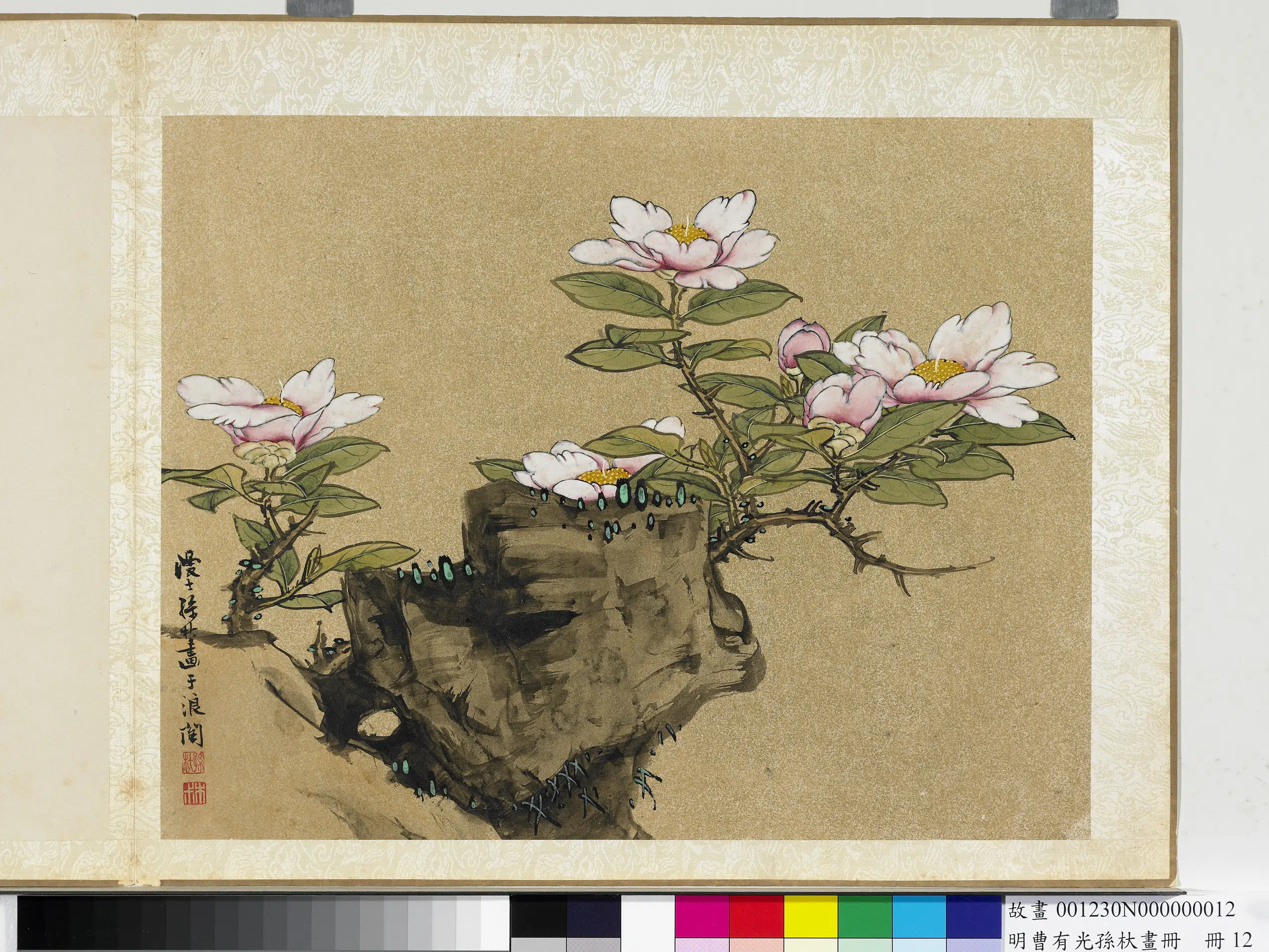 明朝【孙杕】《明曹有光孙杕画册-画茶花》