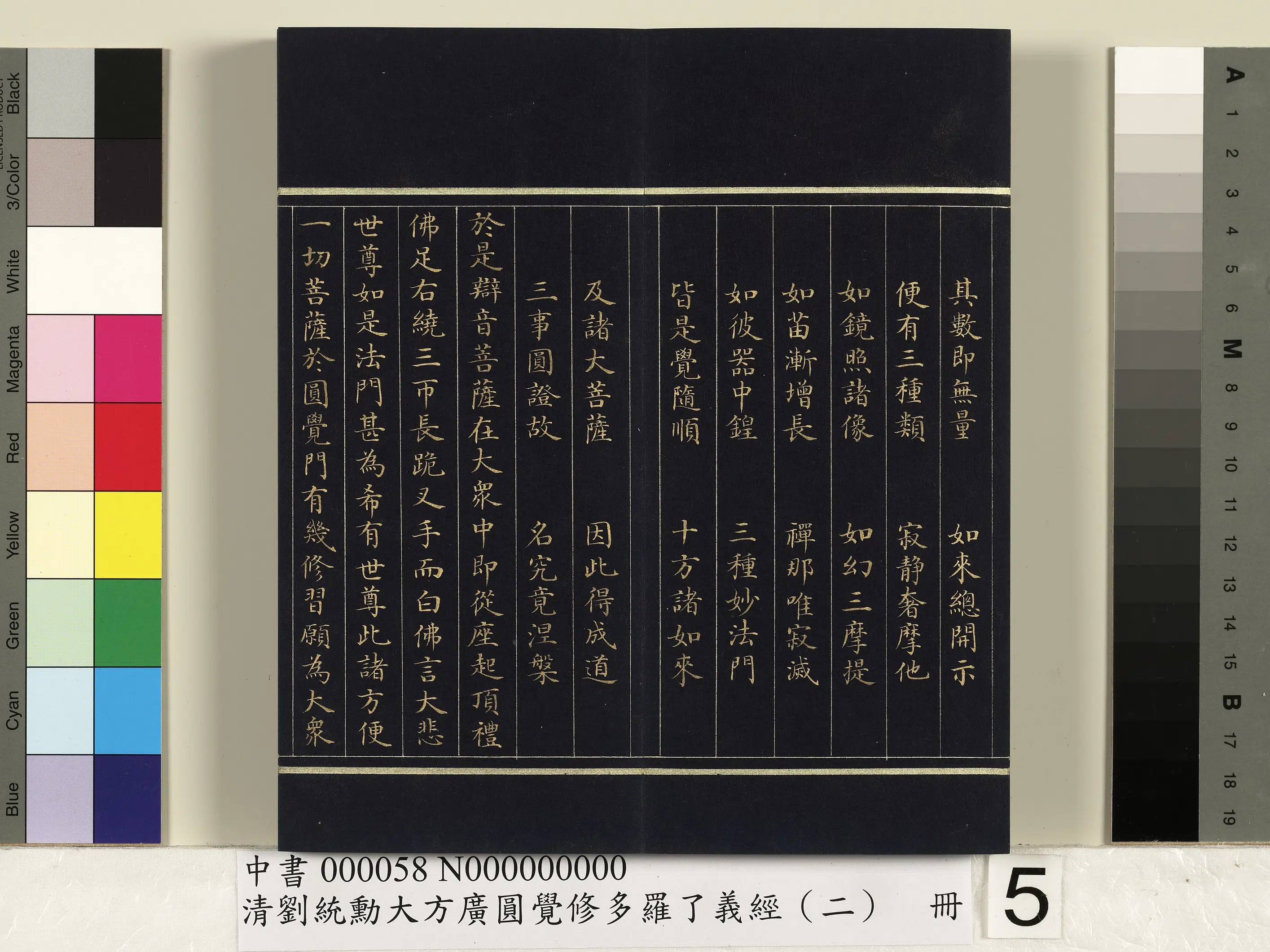 清代【刘统勋】《大方广圆觉修多罗了义经（二）册》 第31张