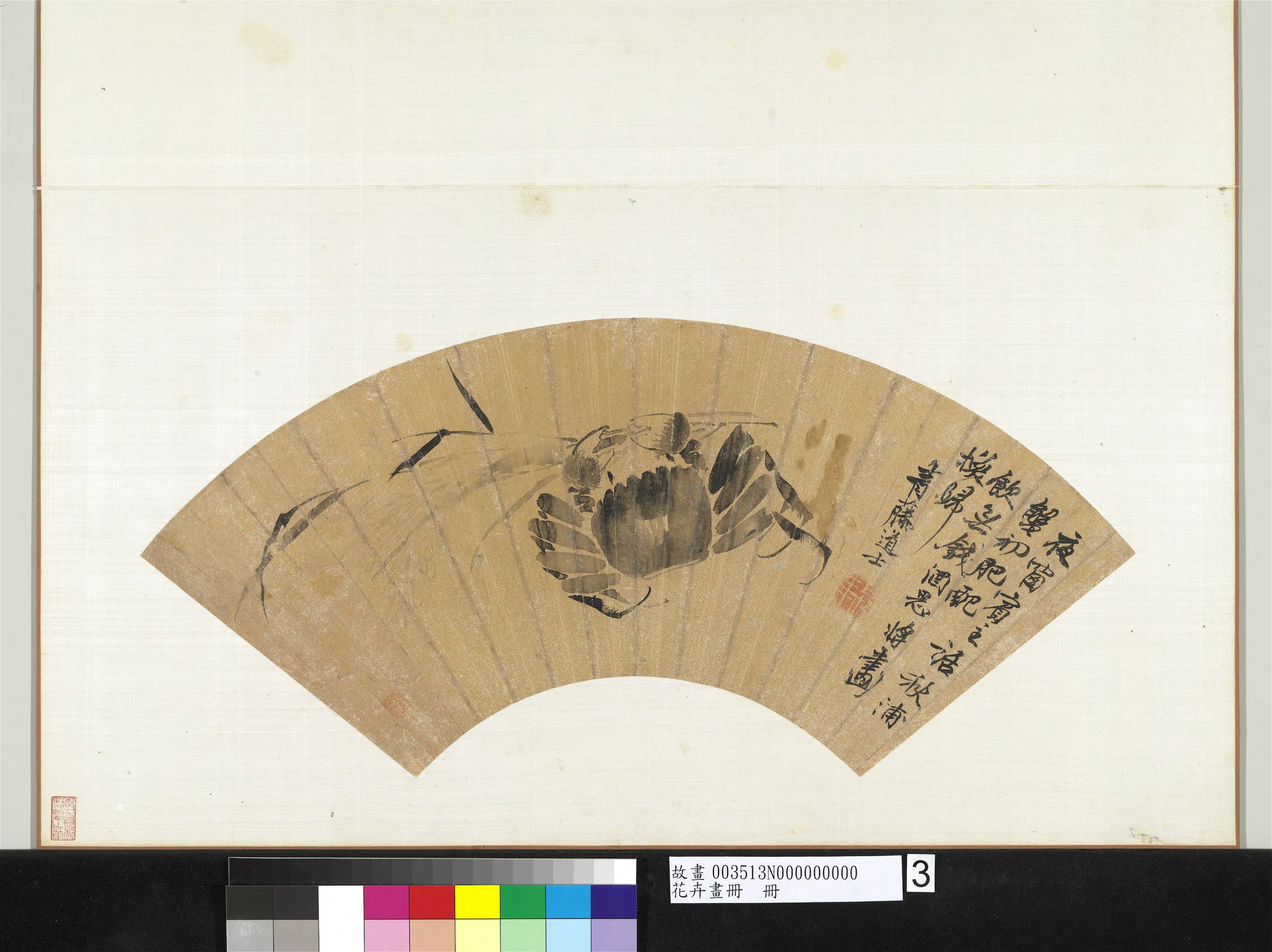 《花卉画册-1》 第3张