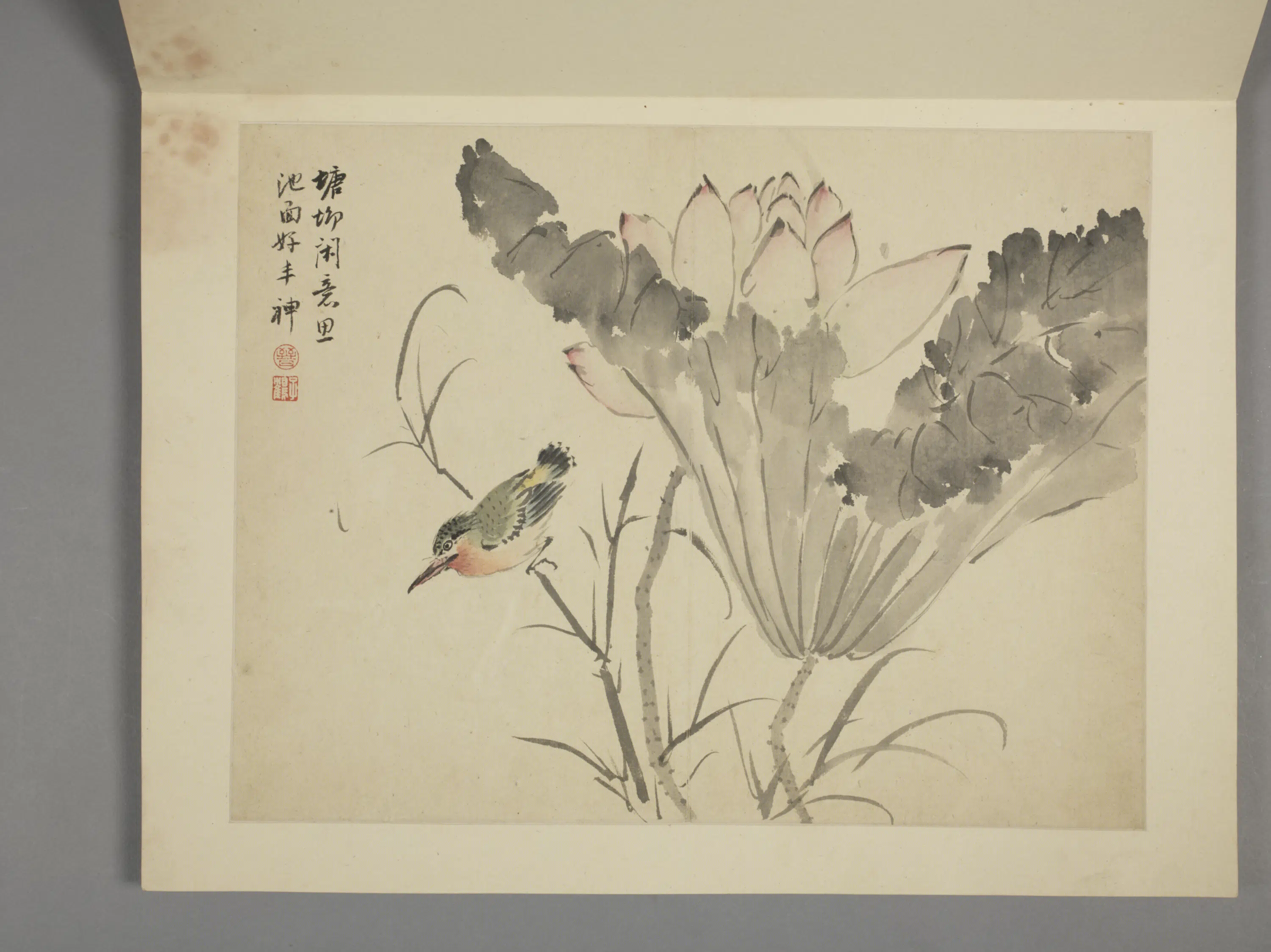 清代【杨晋】《山水花鸟册（10开）》 第8张