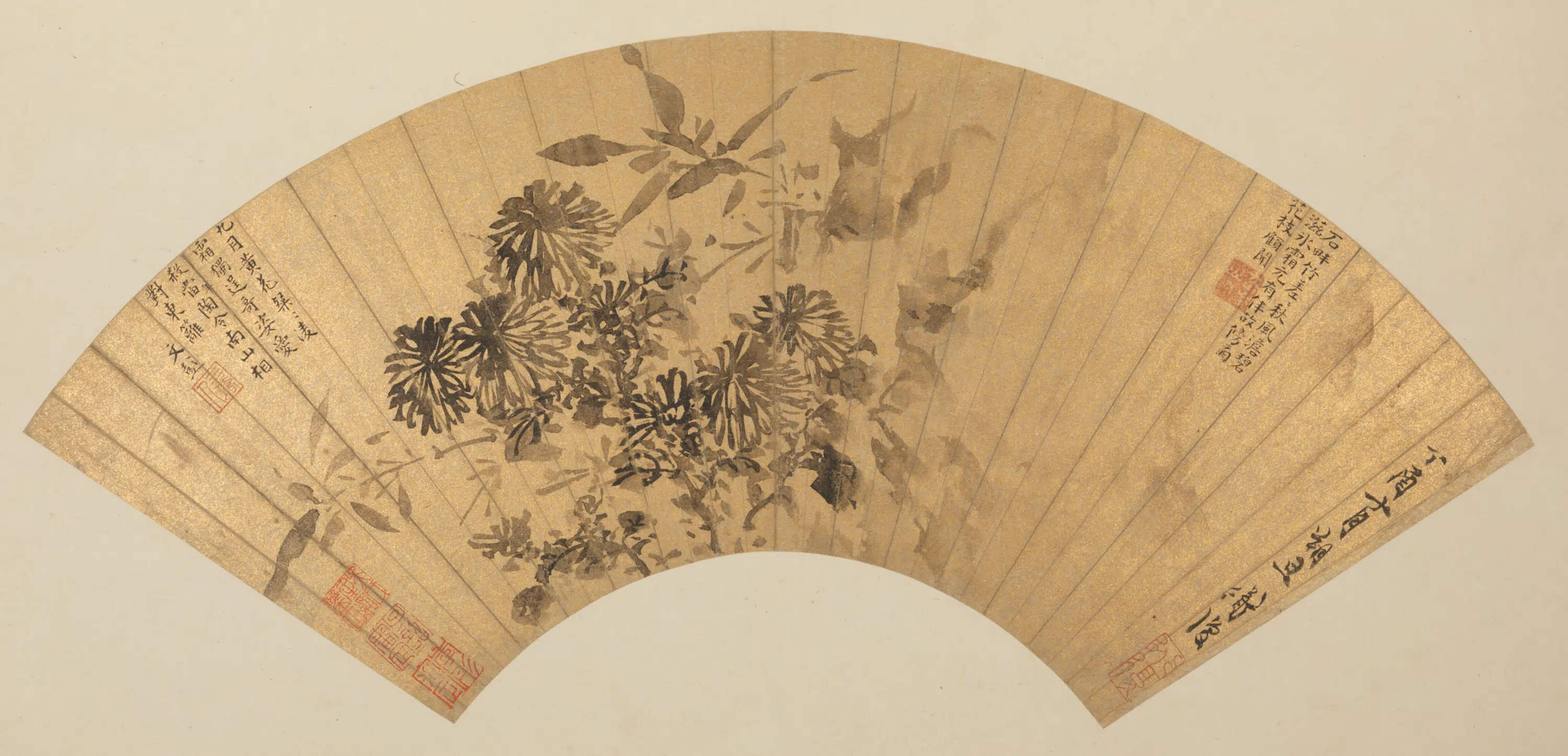 明朝【陈淳（道复）】《竹菊图扇》