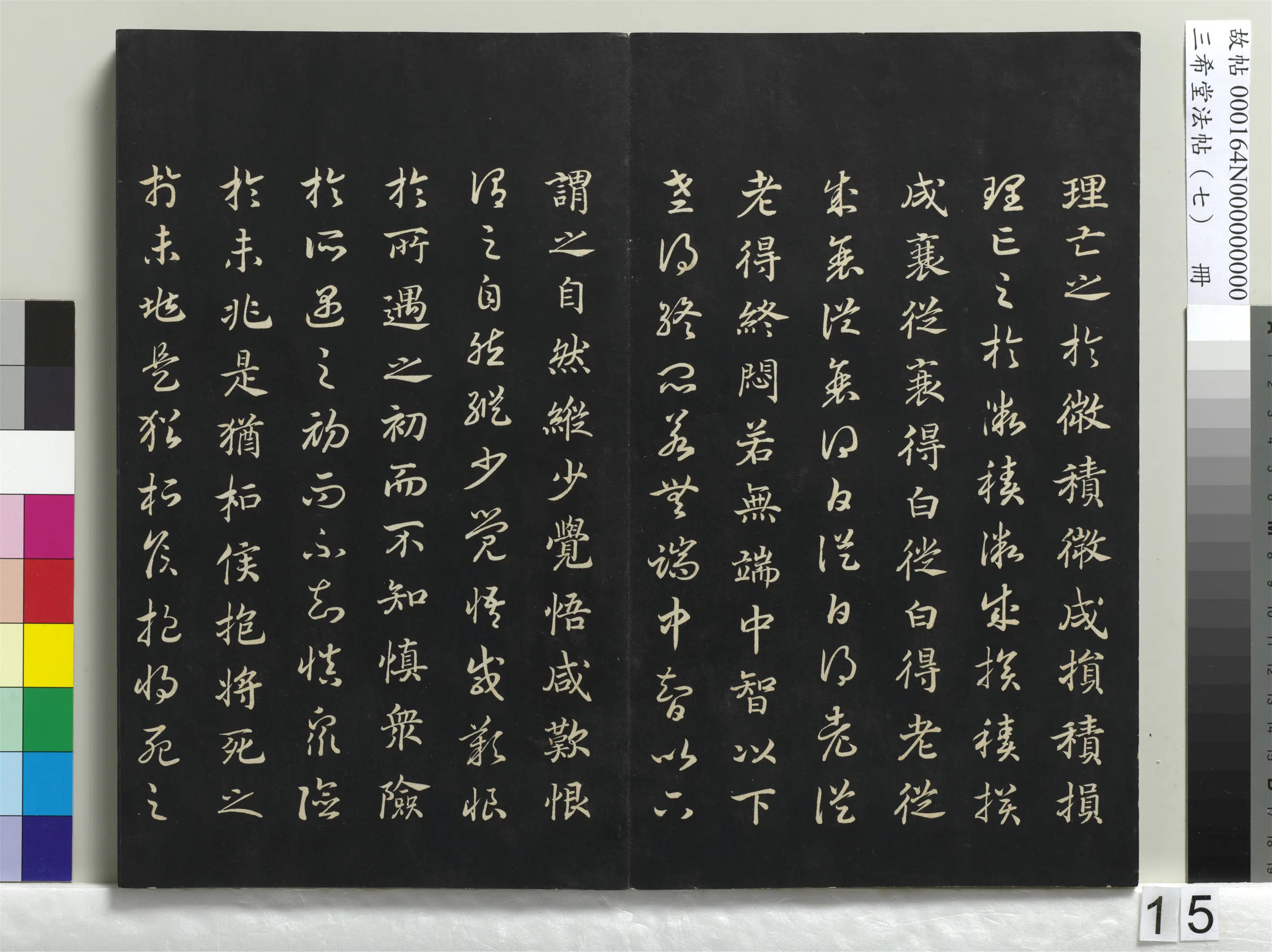 南宋【赵构-宋高宗】《三希堂法帖(七)册-宋高宗真草书嵇康养生论-1》 第5张 南宋【赵构-宋高宗】《三希堂法帖(七)册-宋高宗真草书嵇康养生论-1》 第5张