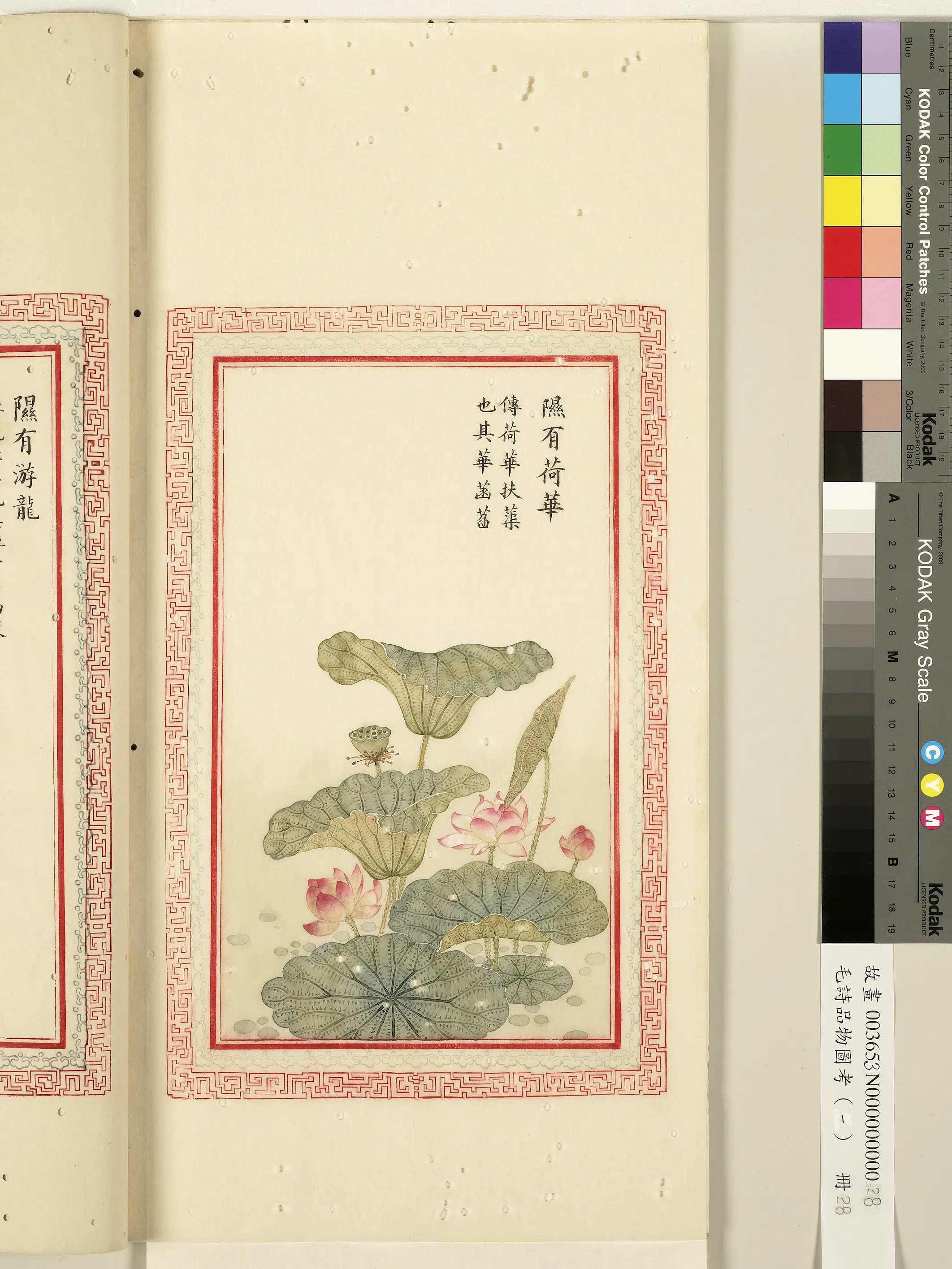 清代《毛诗品物图考(一)册-1》 第56张 清代《毛诗品物图考(一)册-1》 第56张
