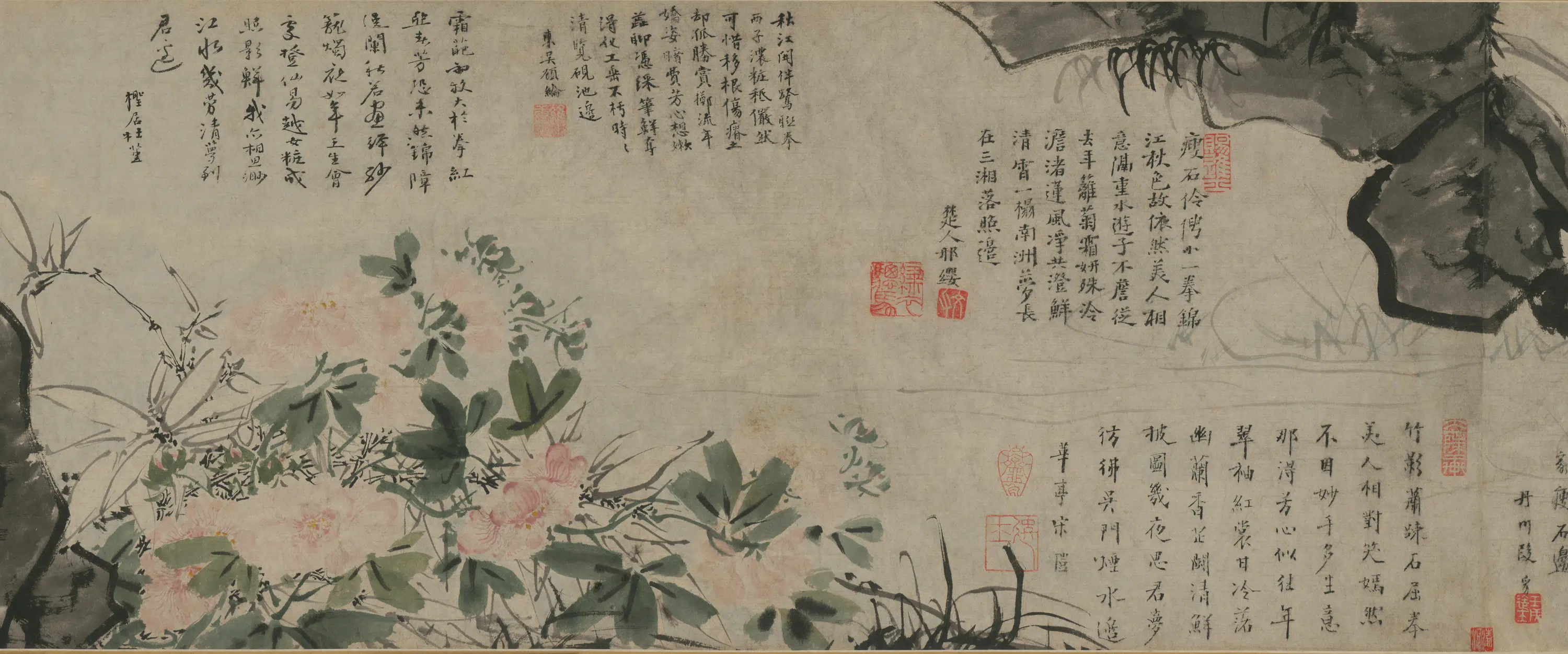 明朝【徐霖】《花卉泉石卷》 第13张