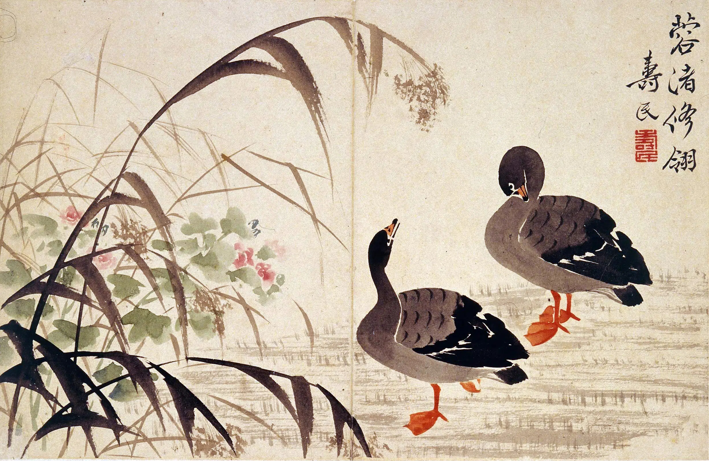 清代【边寿民】《芦雁图册（八开）》 第7张