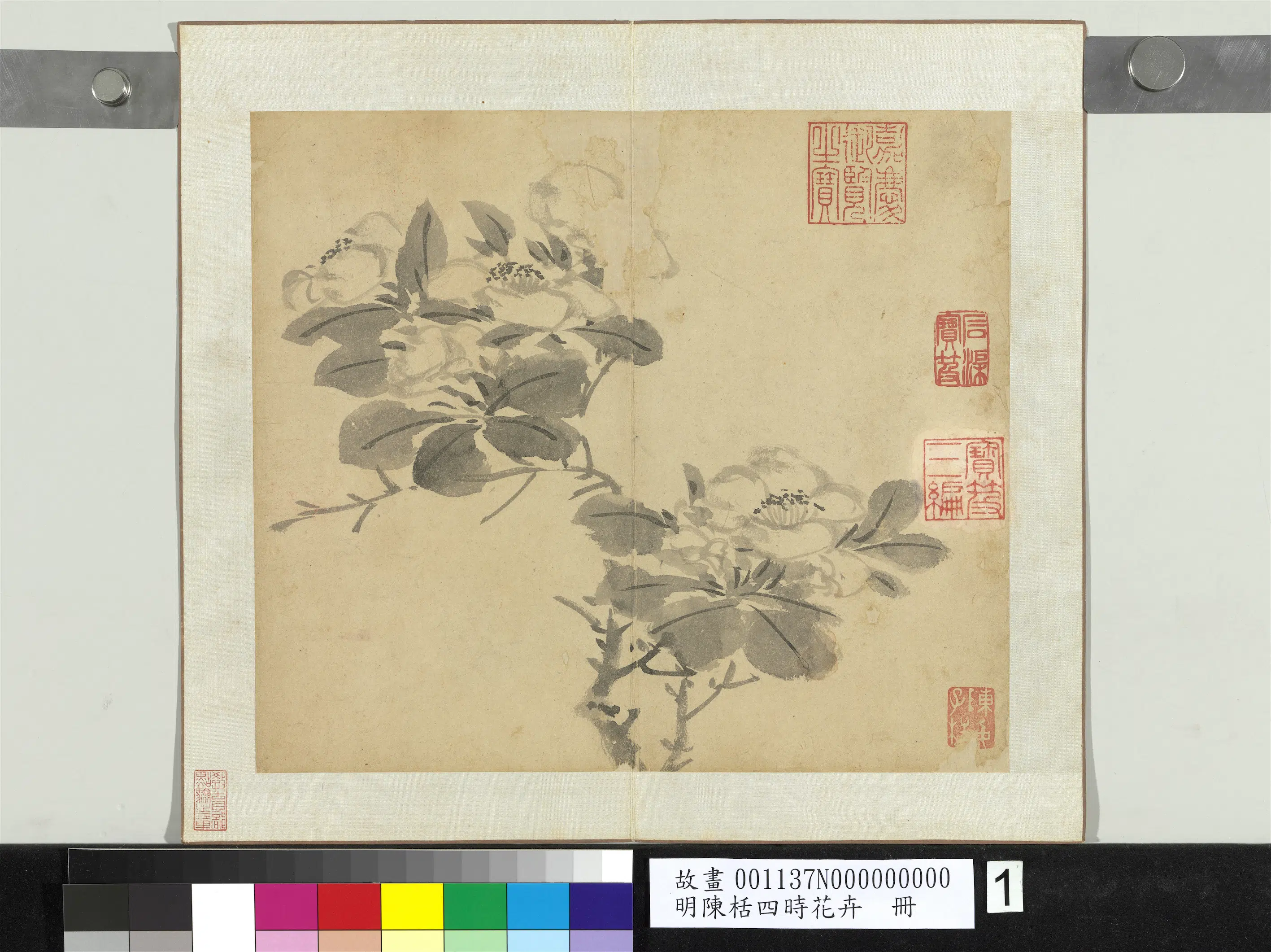 明朝【陈栝】《四时花卉册》 第2张