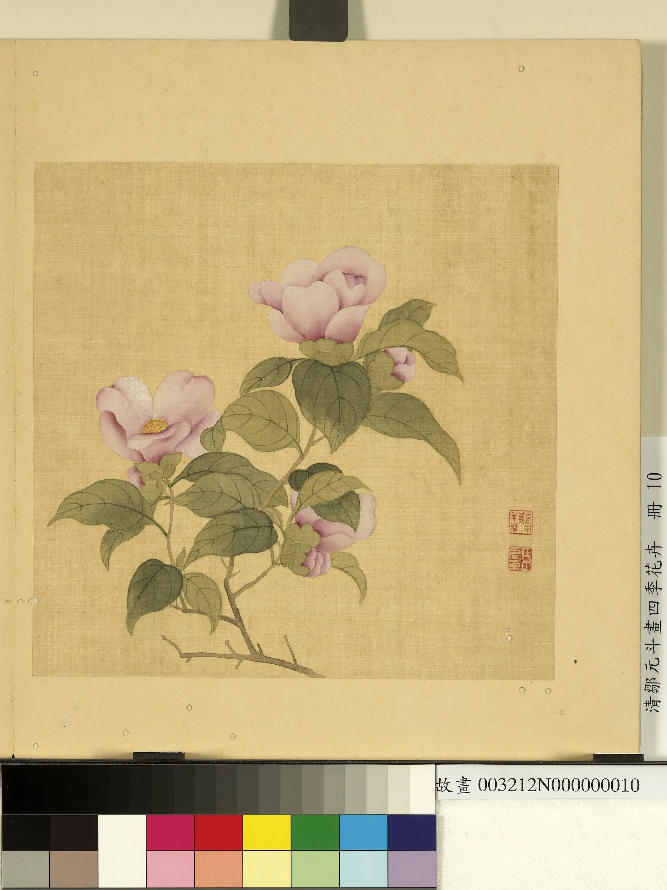 清代【邹元斗】《画四季花卉册-茶花》 第1张