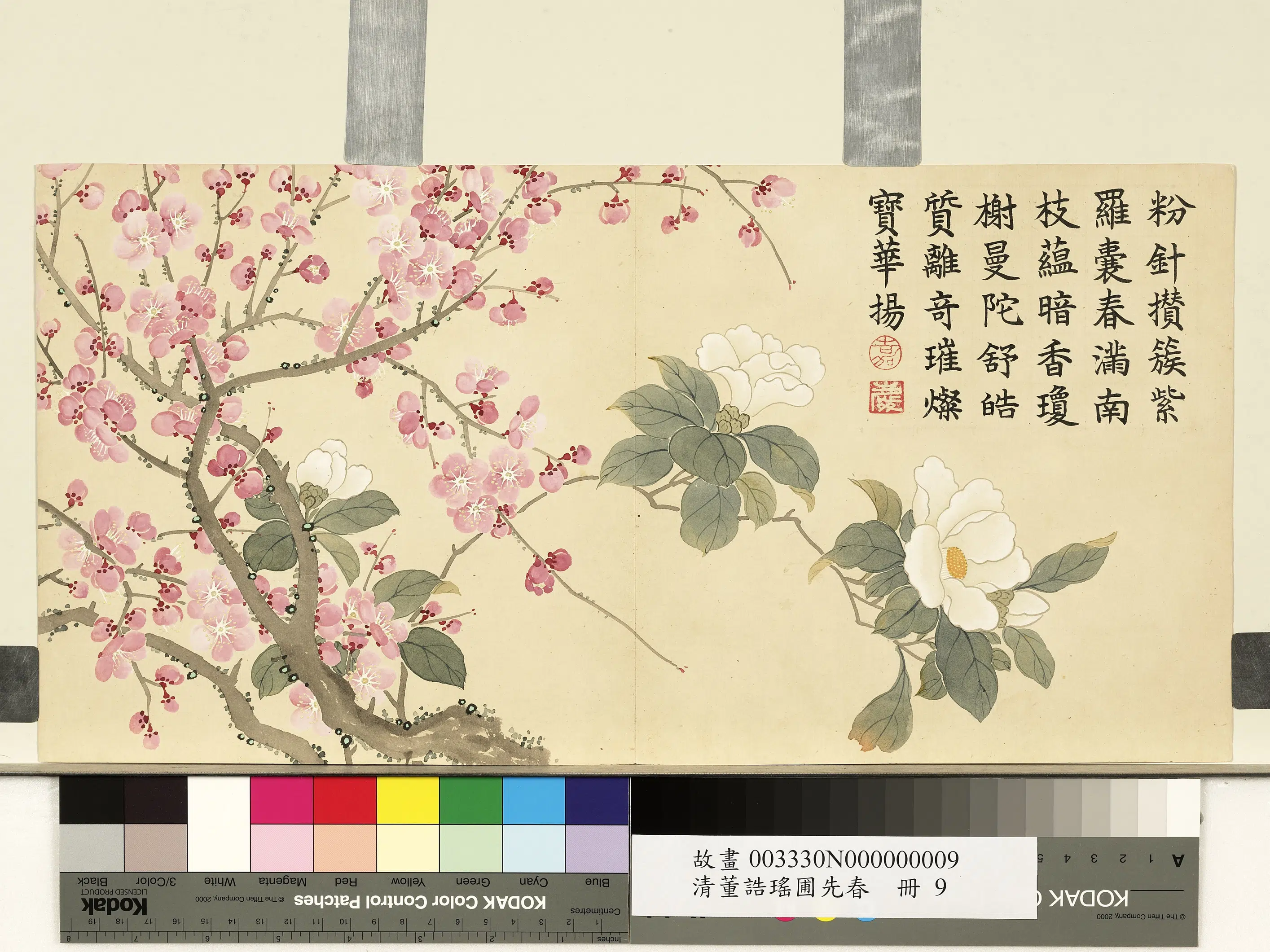 清代【董诰】《瑶圃先春册-红梅栀子花》