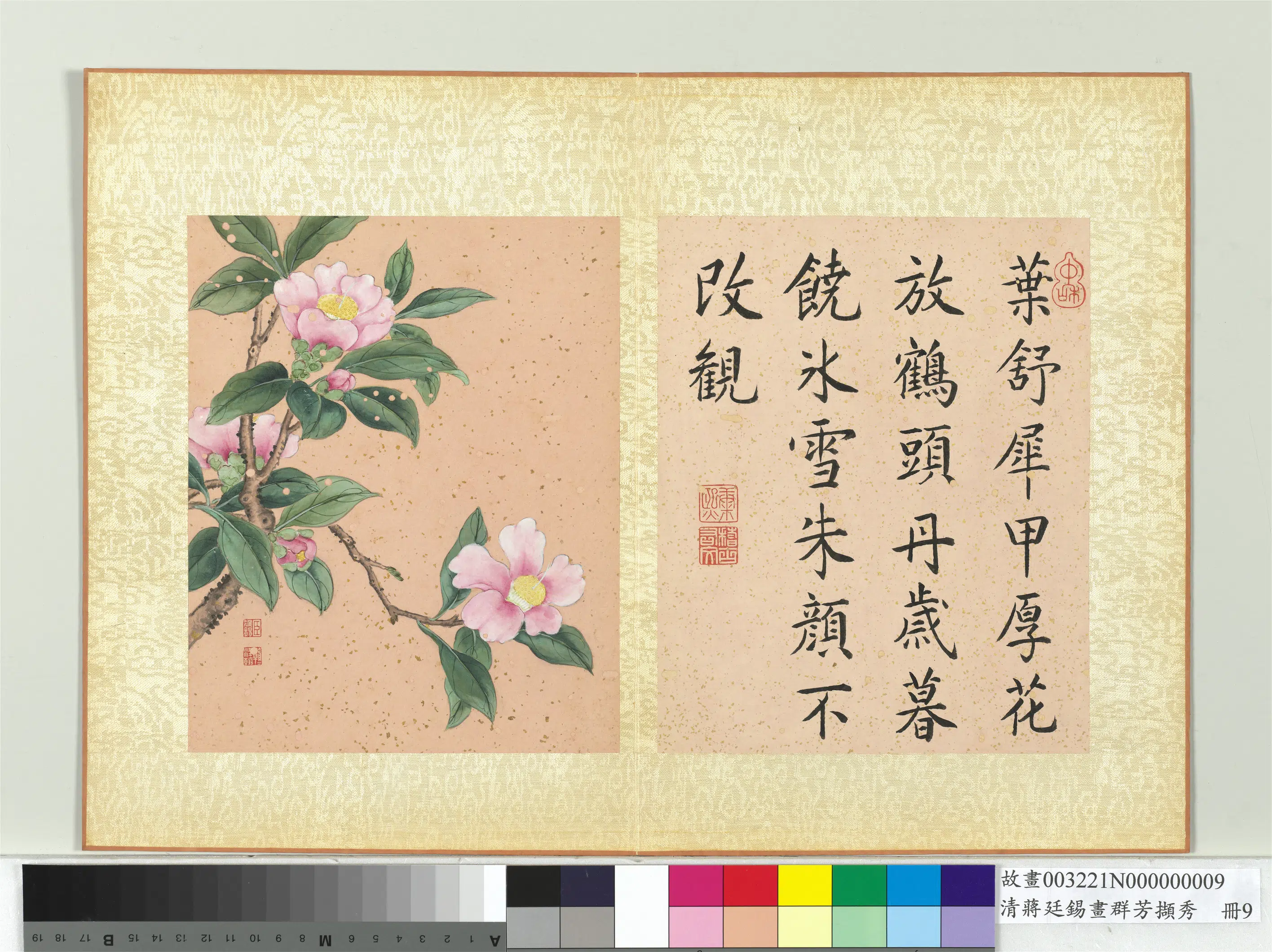 清代【蒋廷锡】《画群芳撷秀册-茶花》