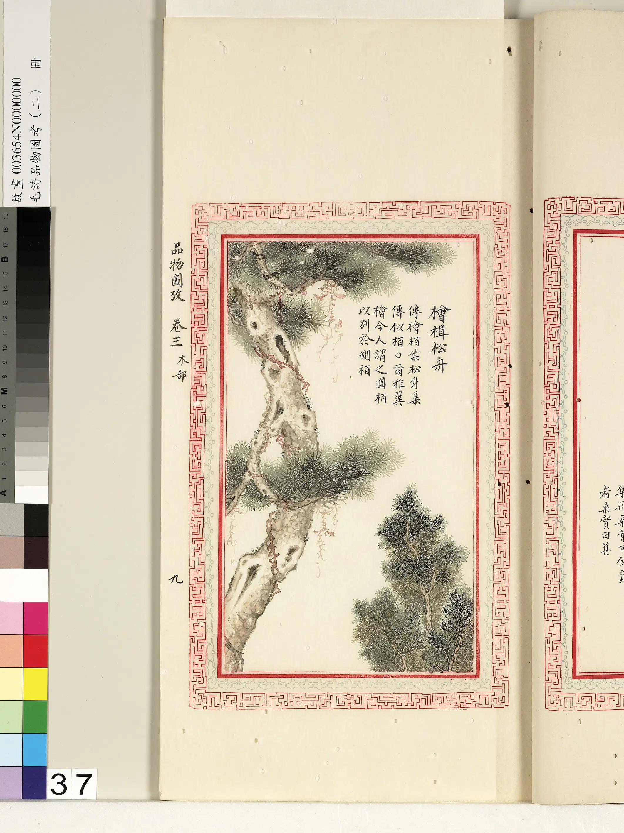 清朝【佚名】《毛诗品物图考（二）册-桧楫松舟-1》