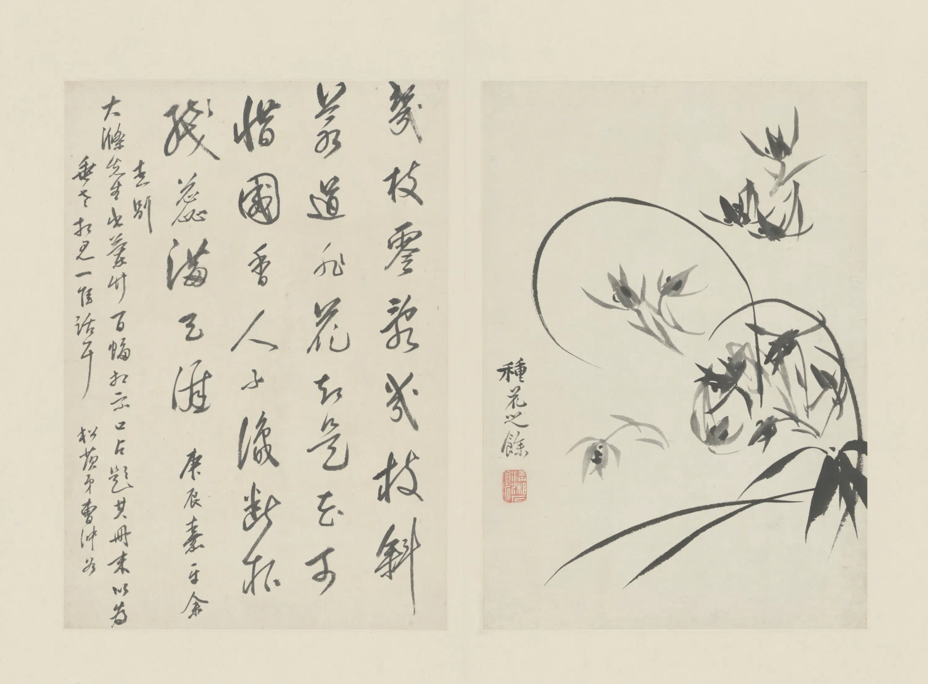 清代【原济】《兰竹册－兰花-2》