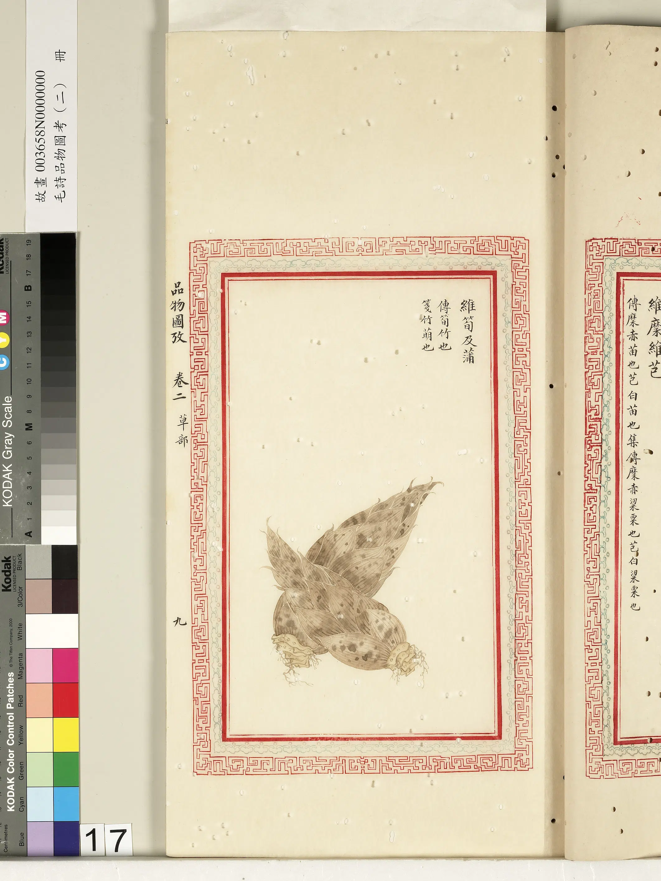 清代《毛诗品物图考（二）册-2》 第41张